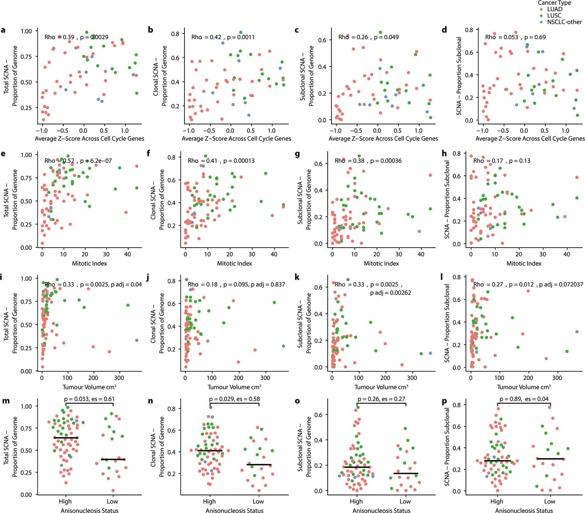Extended Data Fig. 3: NSCLC SCNAs correlate with cell cycle gene expression and tumour cell characteristics.