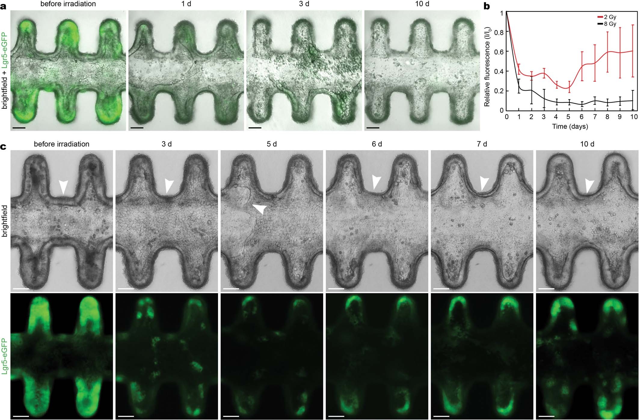 Extended Data Fig. 8