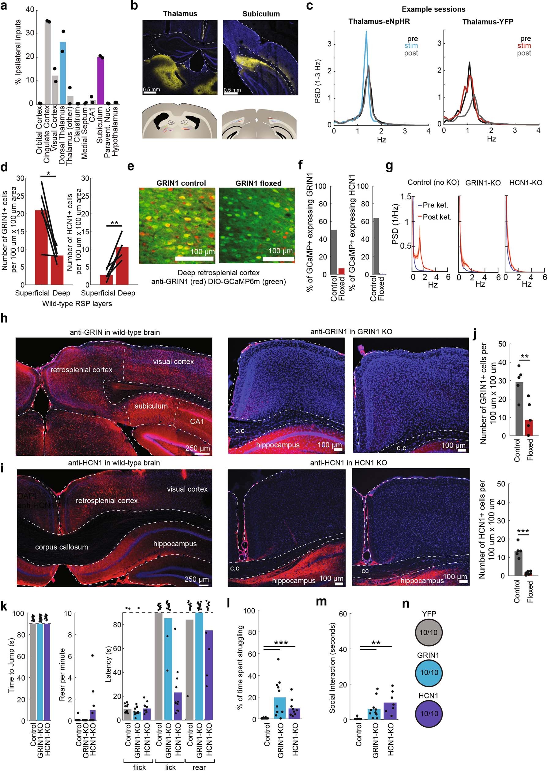 Extended Data Fig. 11