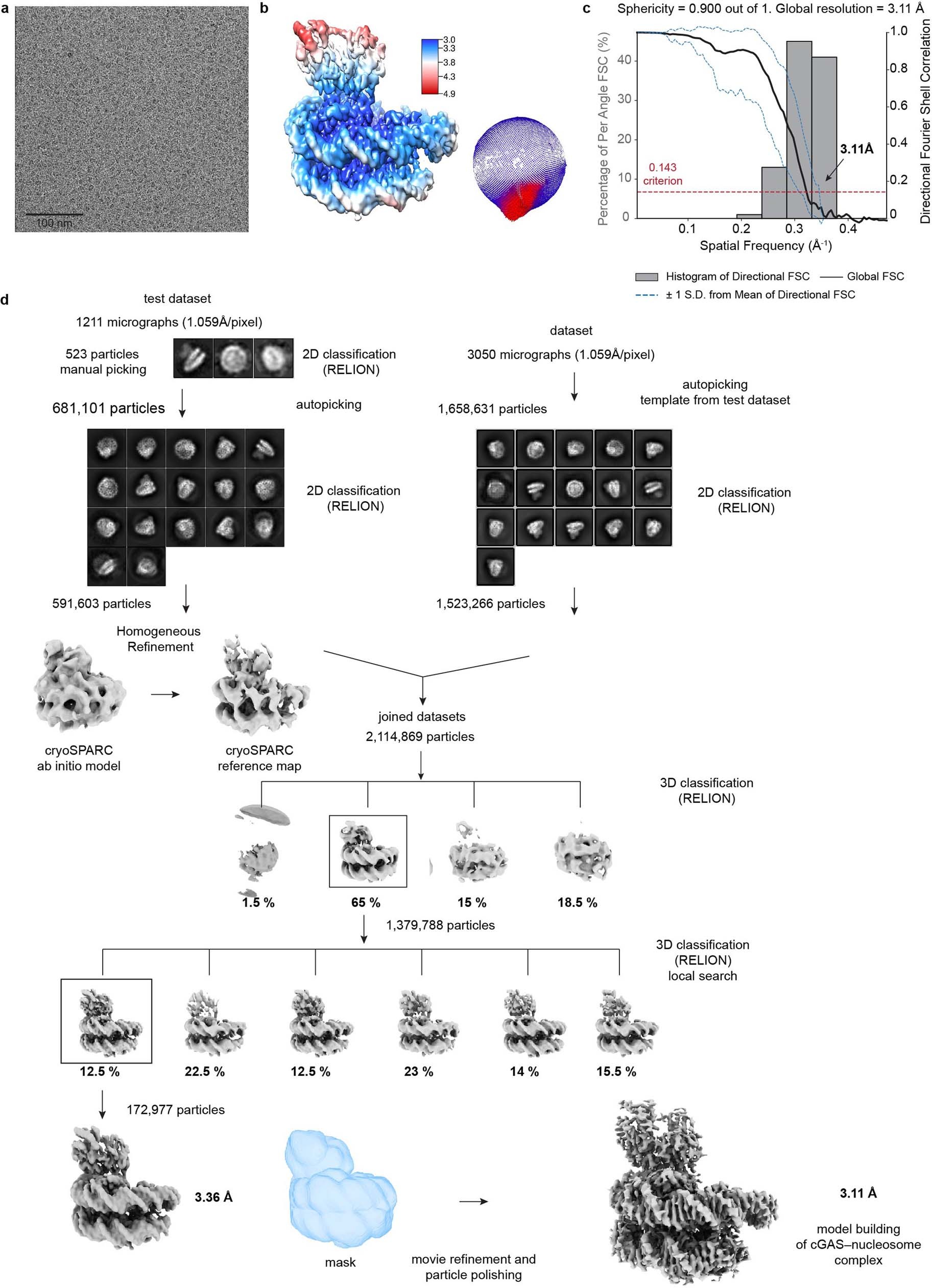 Extended Data Fig. 2: Cryo-EM data processing for cGAS–nucleosome structure.