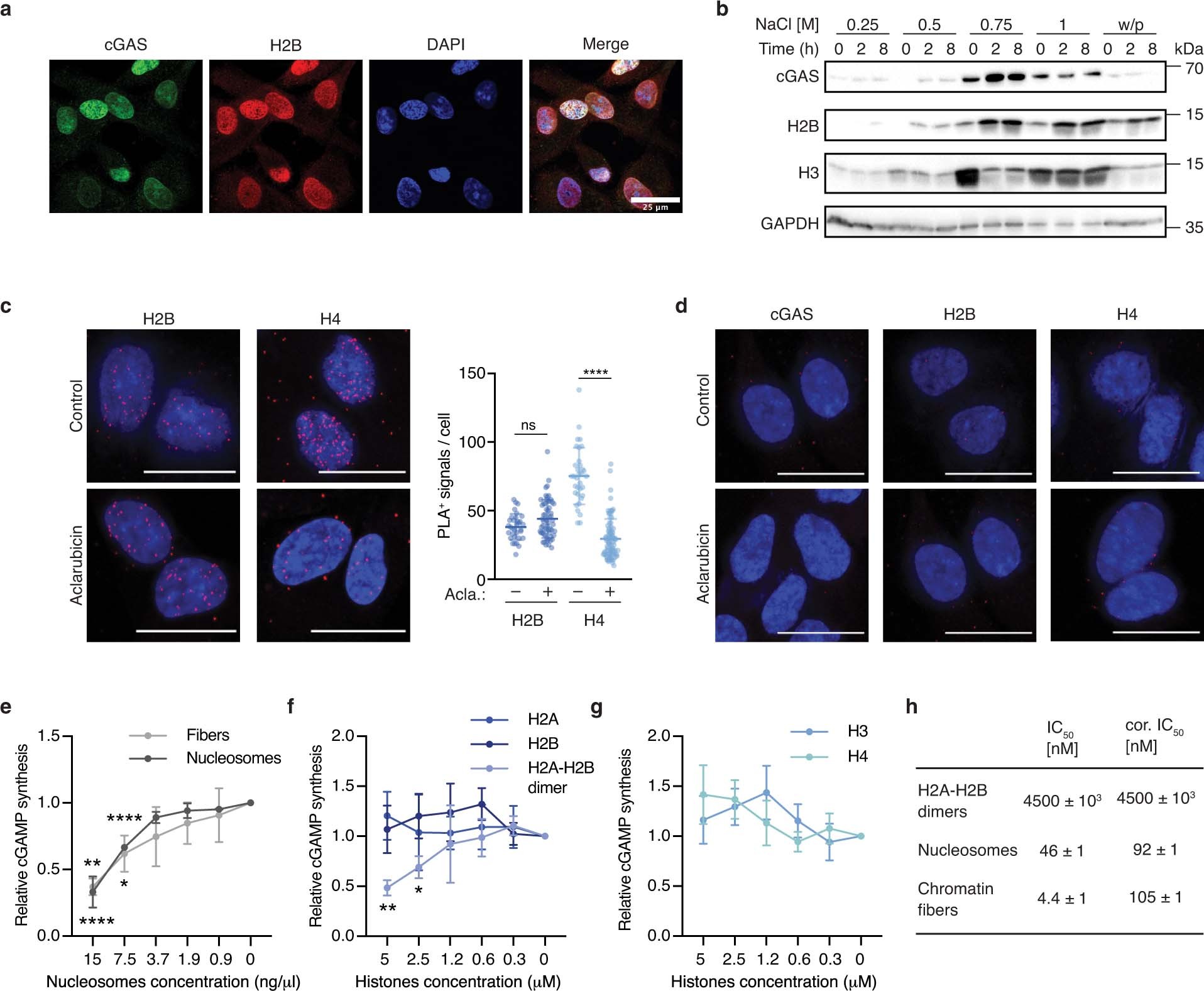 Extended Data Fig. 1