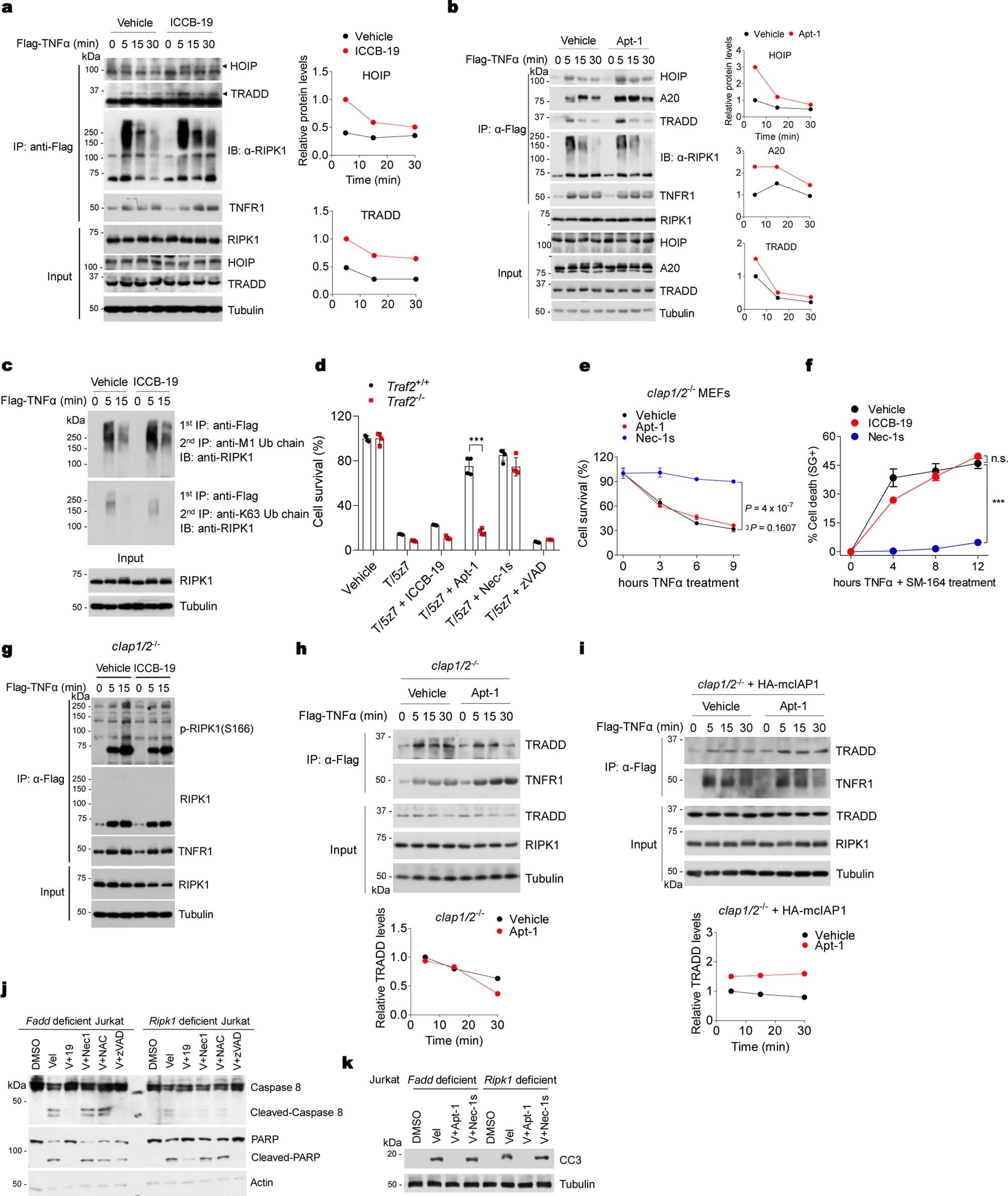 Extended Data Fig. 5
