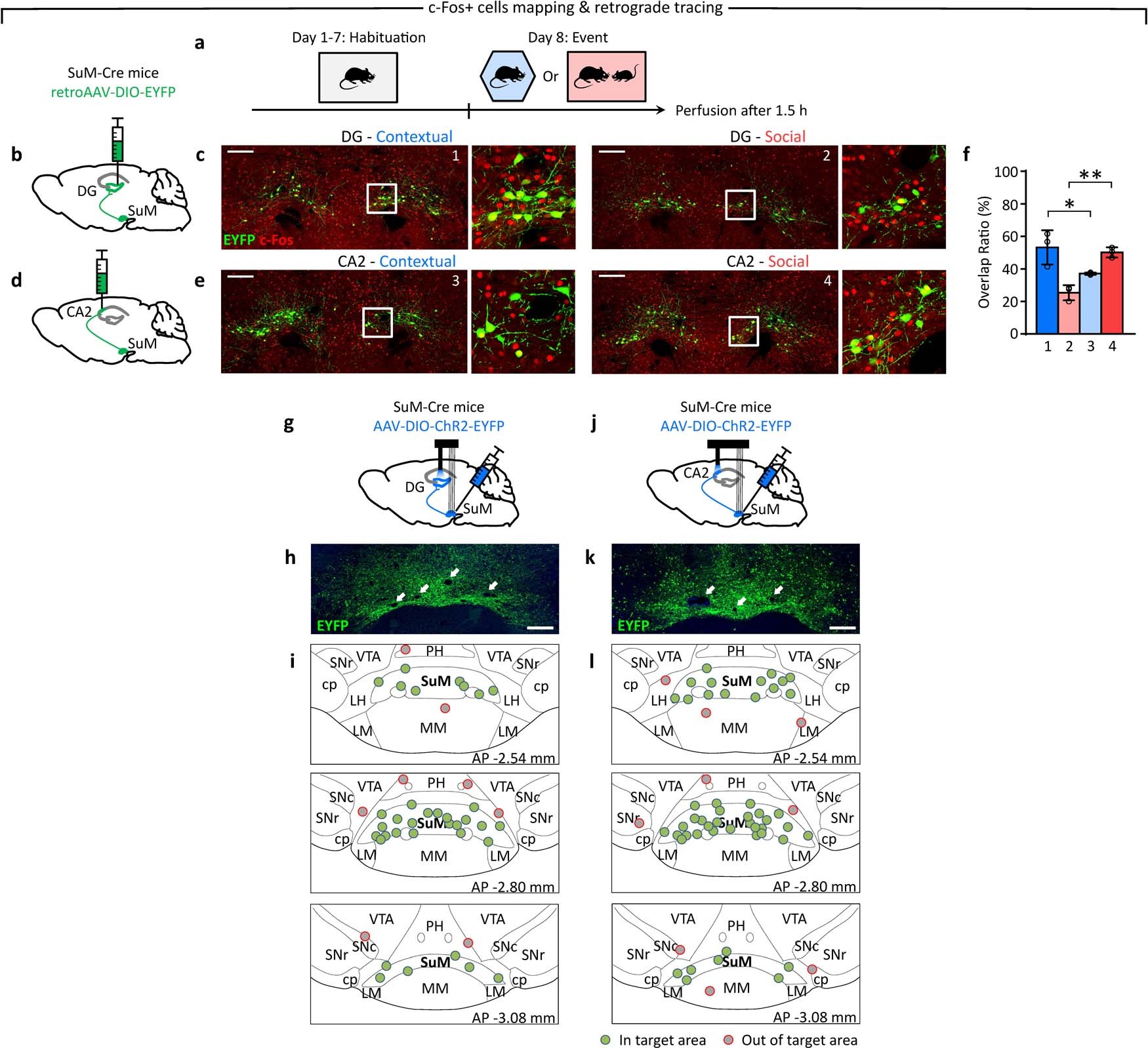 Extended Data Fig. 7