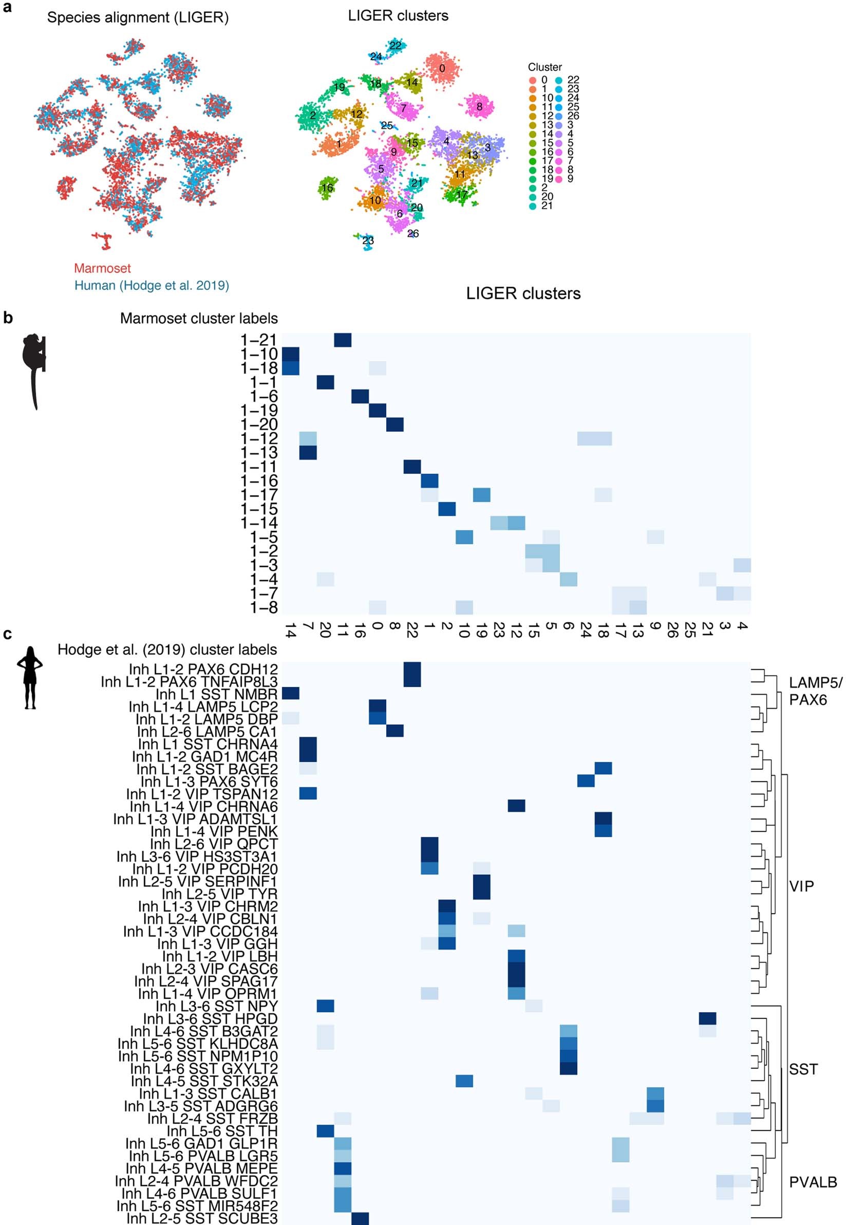 Extended Data Fig. 7