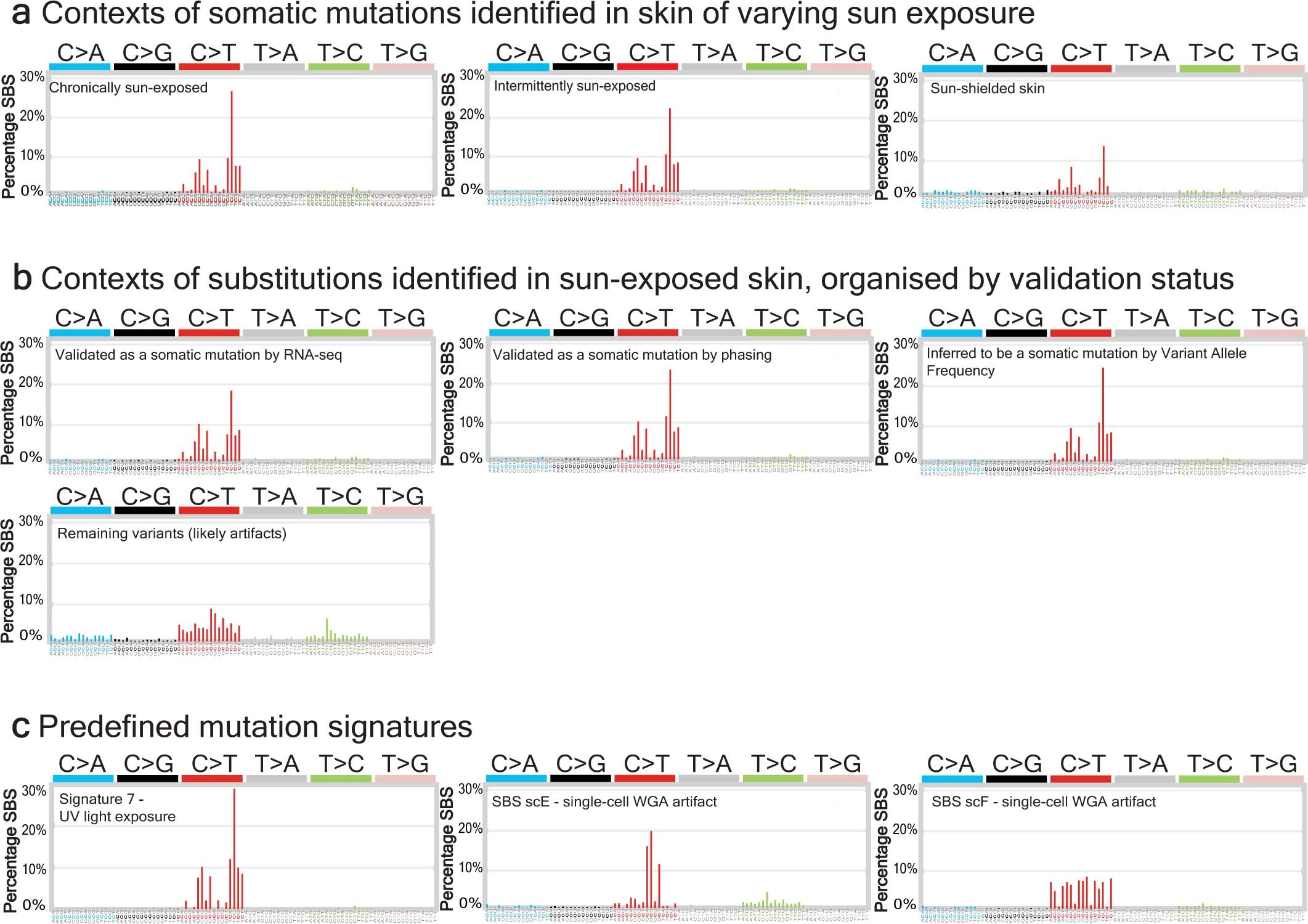 Extended Data Fig. 3: Contexts of single-base substitutions corroborate the quality of somatic mutation calls.