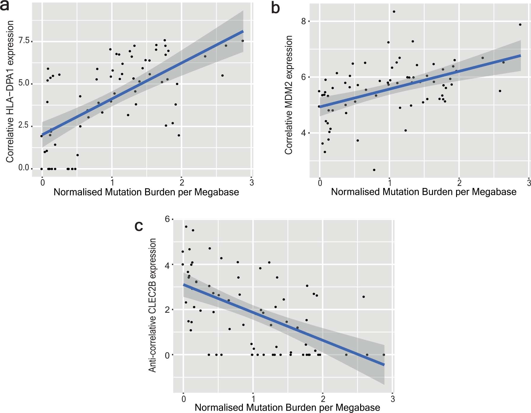 Extended Data Fig. 5: Differential expression analysis revealing genes significantly correlating with mutation burden.