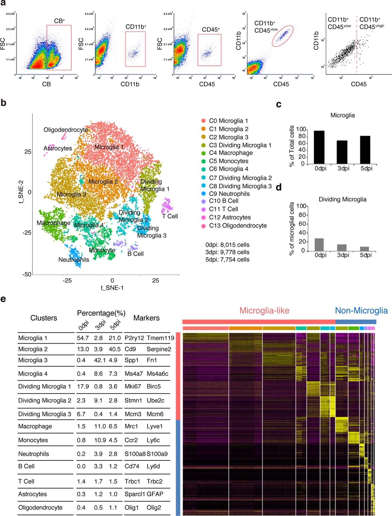 Extended Data Fig. 6: Isolation and scRNA-seq results for immune cells after neonatal spinal cord injury.