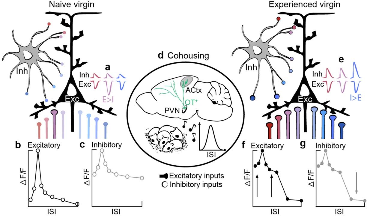 Extended Data Fig. 10