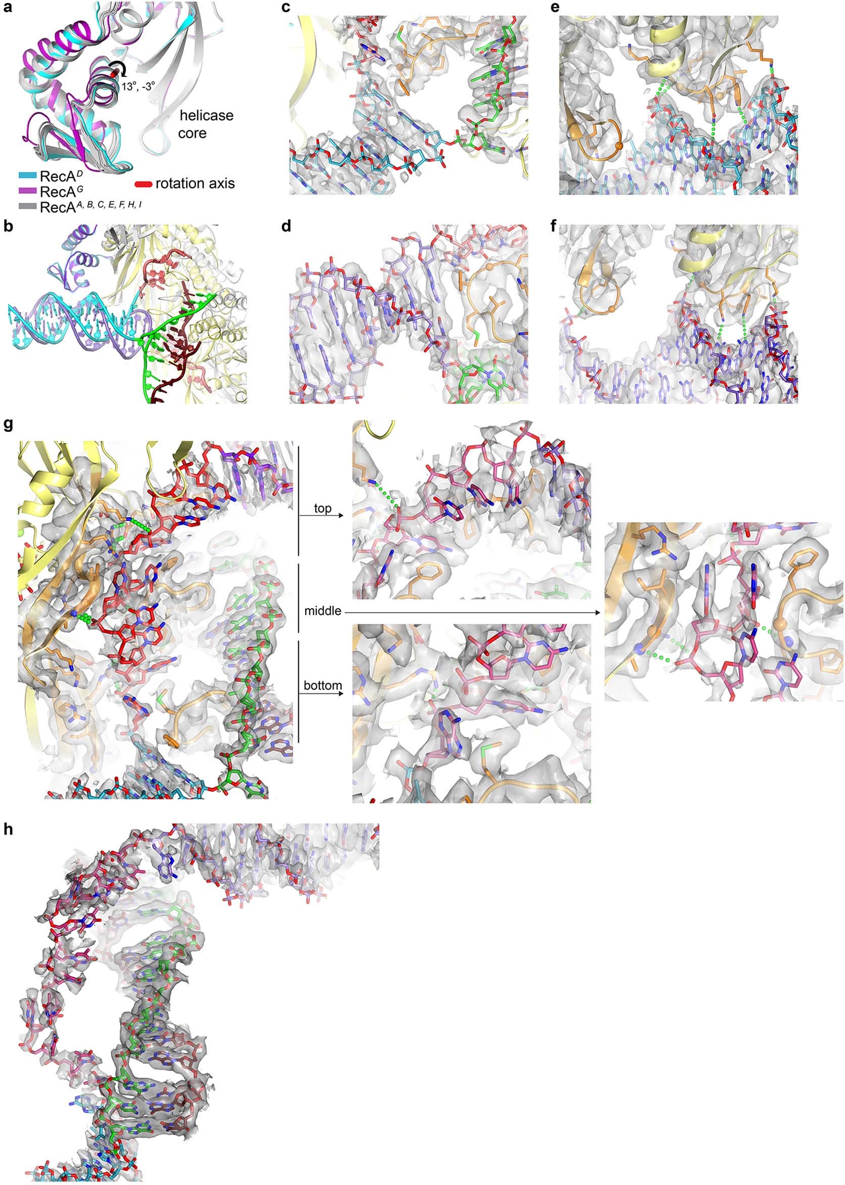 Extended Data Fig. 8