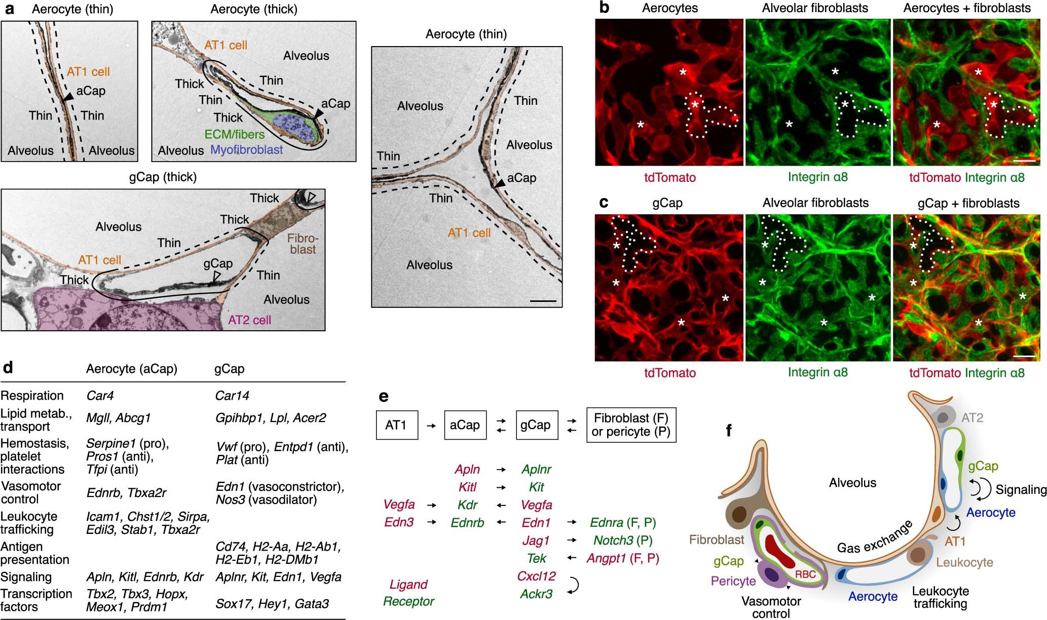 Extended Data Fig. 4