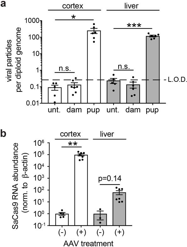 Extended Data Fig. 7
