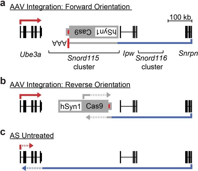 Extended Data Fig. 10