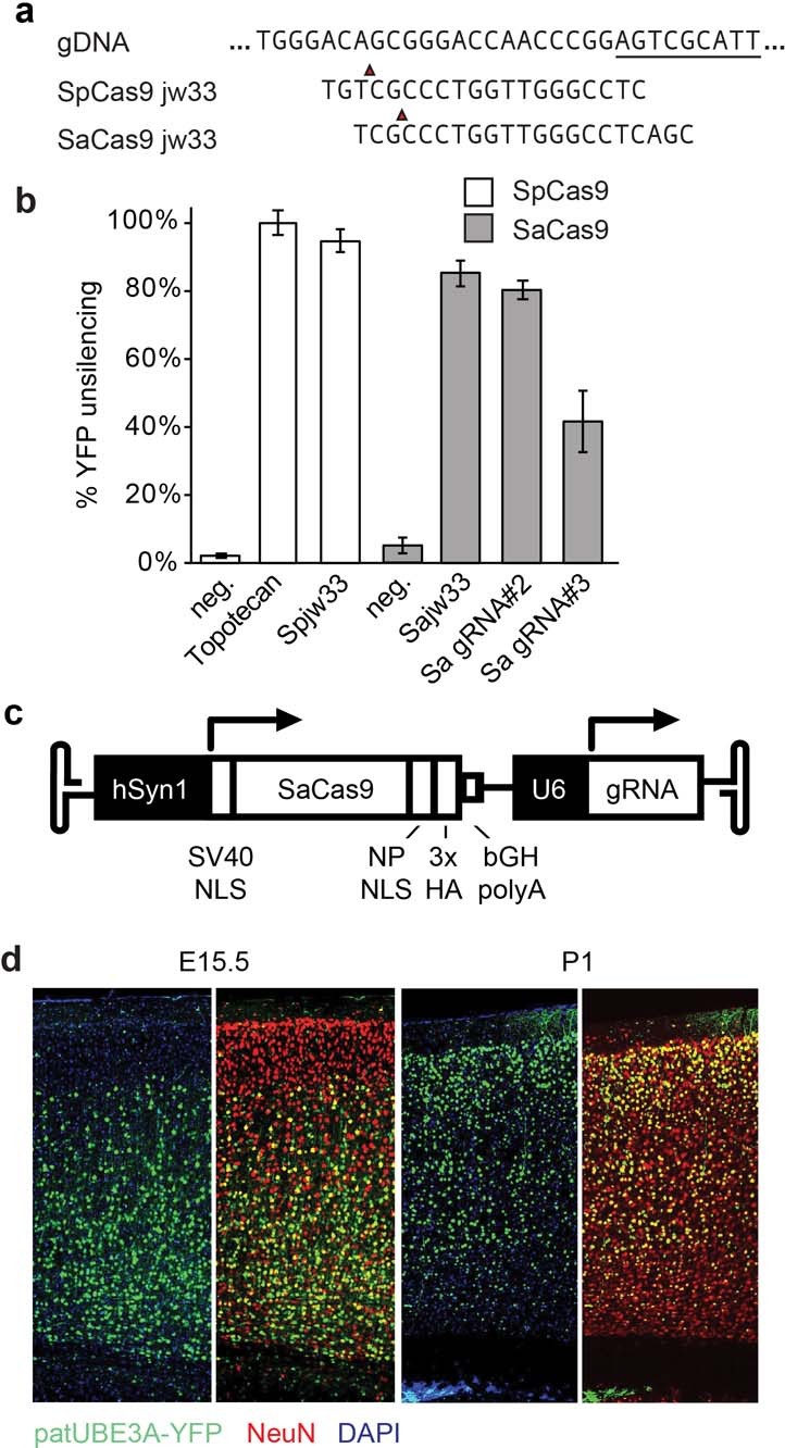 Extended Data Fig. 3