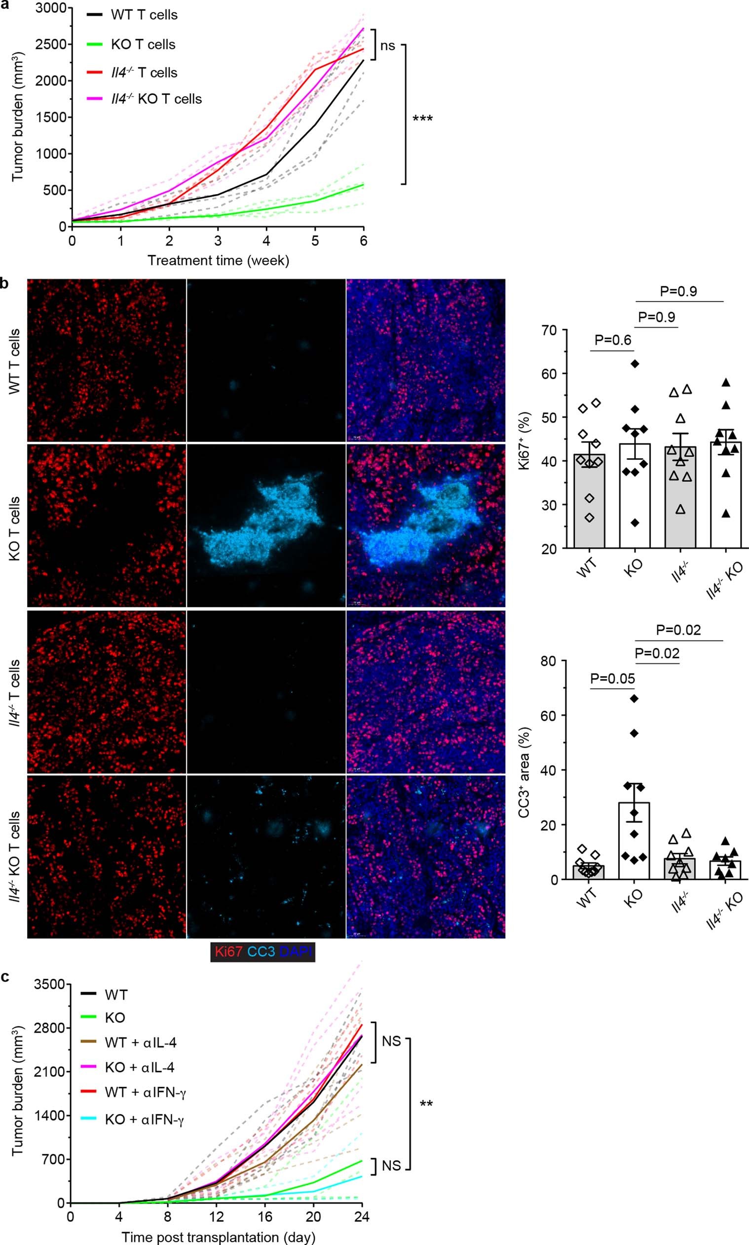 Extended Data Fig. 8