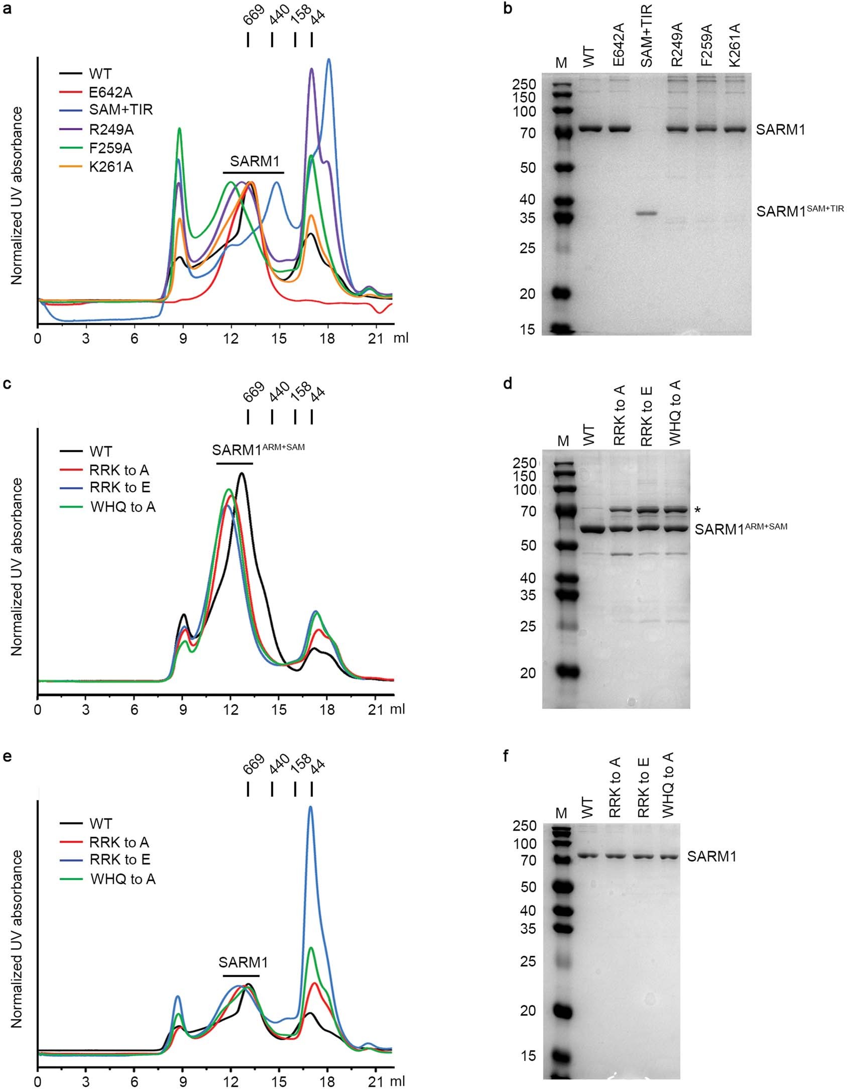 Extended Data Fig. 8