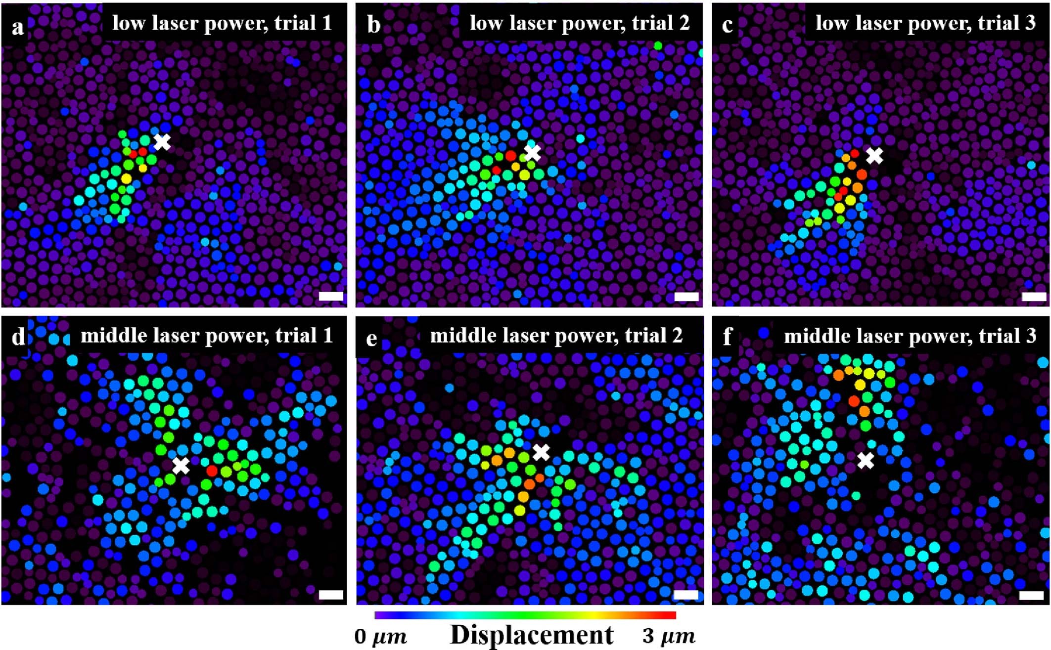 Extended Data Fig. 5