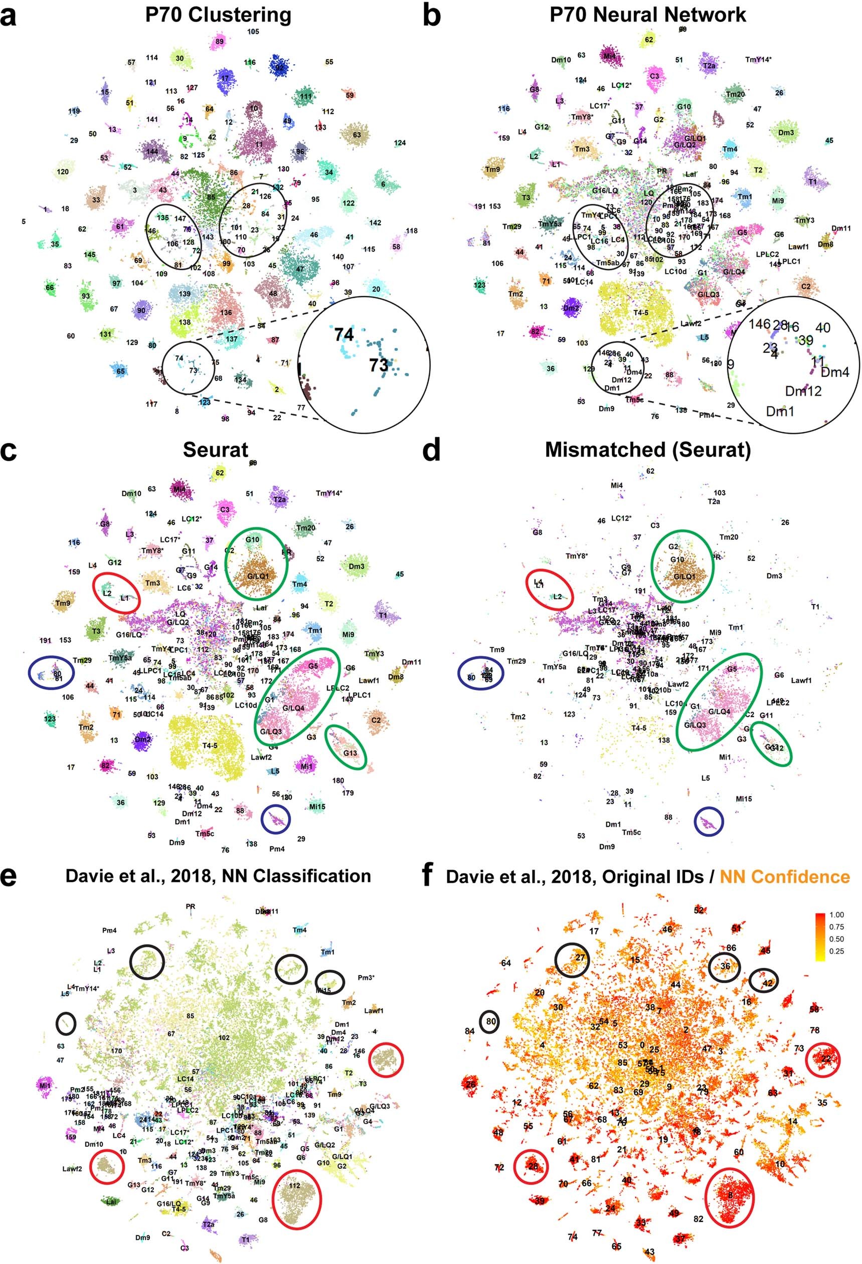 Extended Data Fig. 6: Benchmarking of the neural network classifier.
