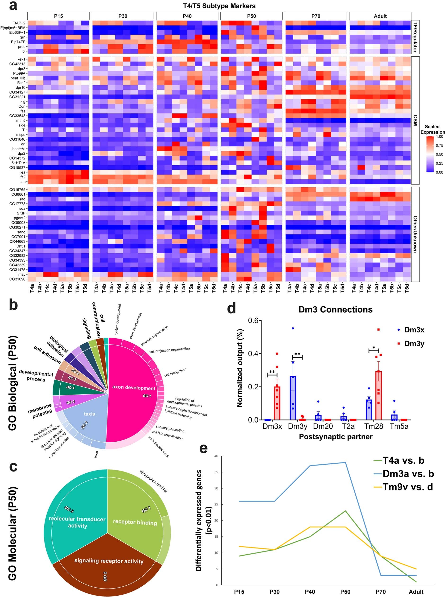 Extended Data Fig. 10: Increased transcriptomic diversity during synaptogenesis.