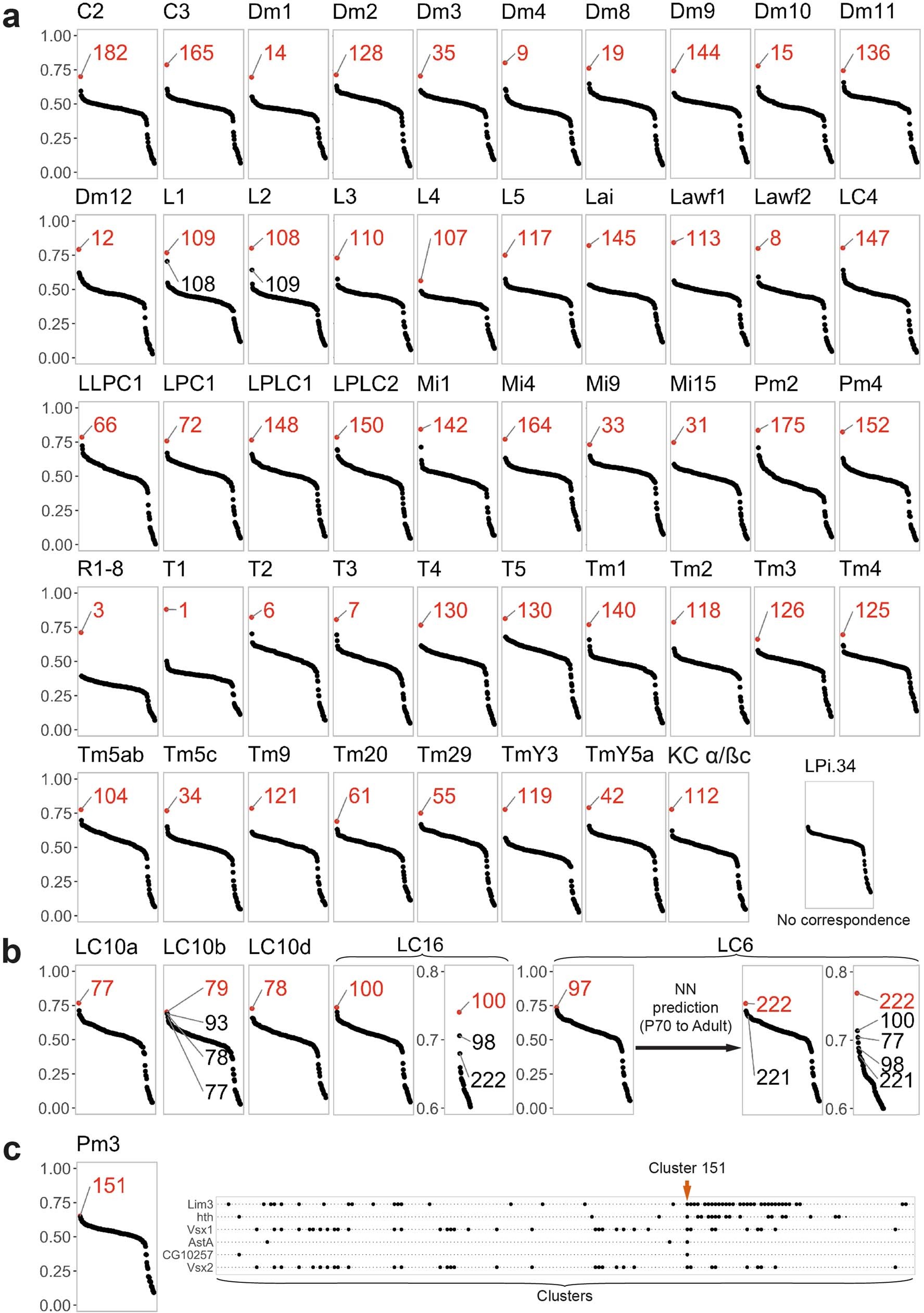 Extended Data Fig. 3: Identification of the adult neuronal clusters.