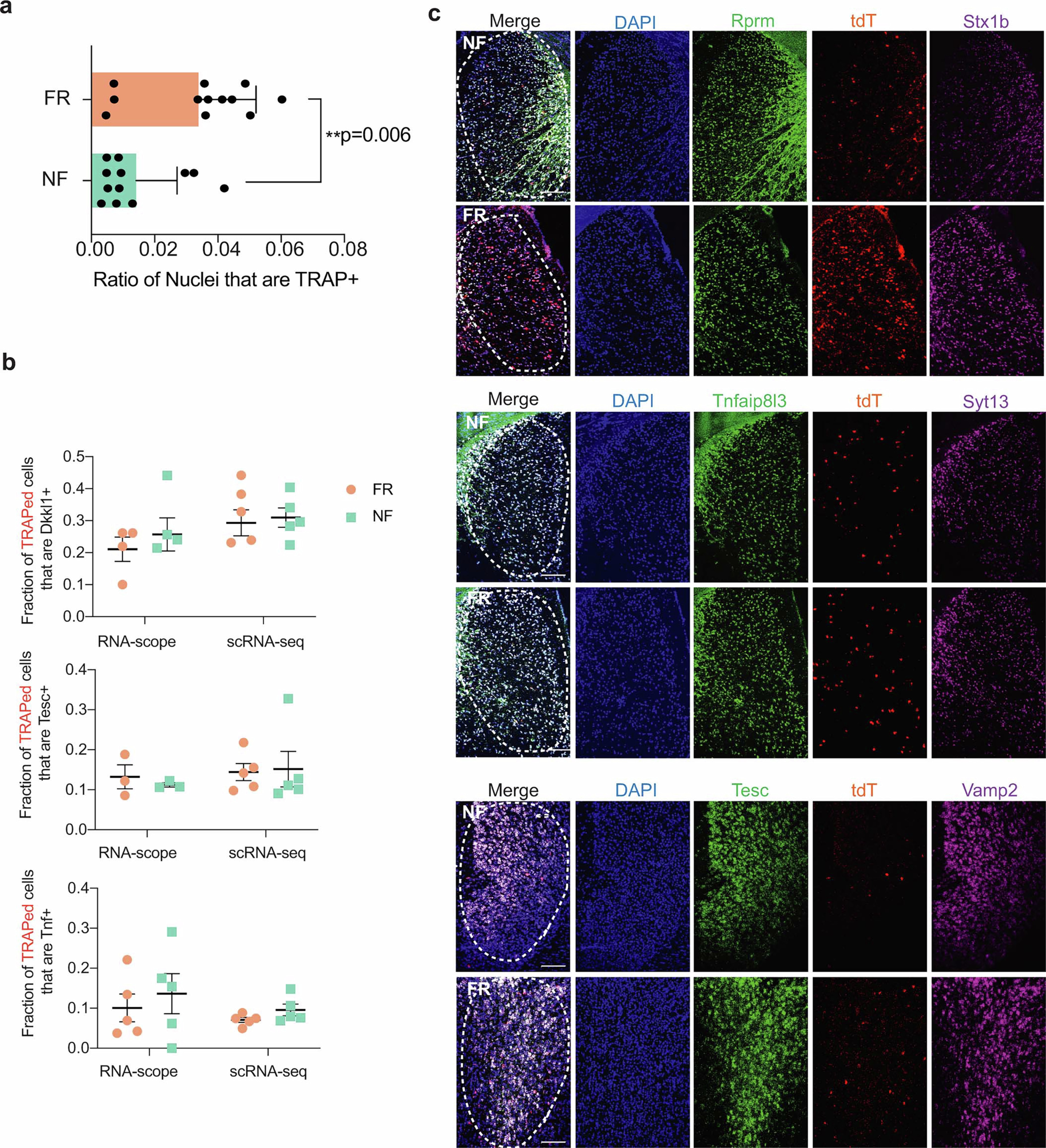 Extended Data Fig. 7