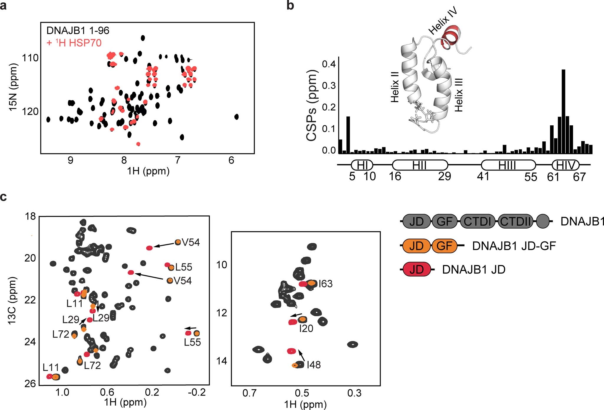 Extended Data Fig. 3: Deletion of helix V removes the GF inhibition of the J-domain and restores HSP70 binding.