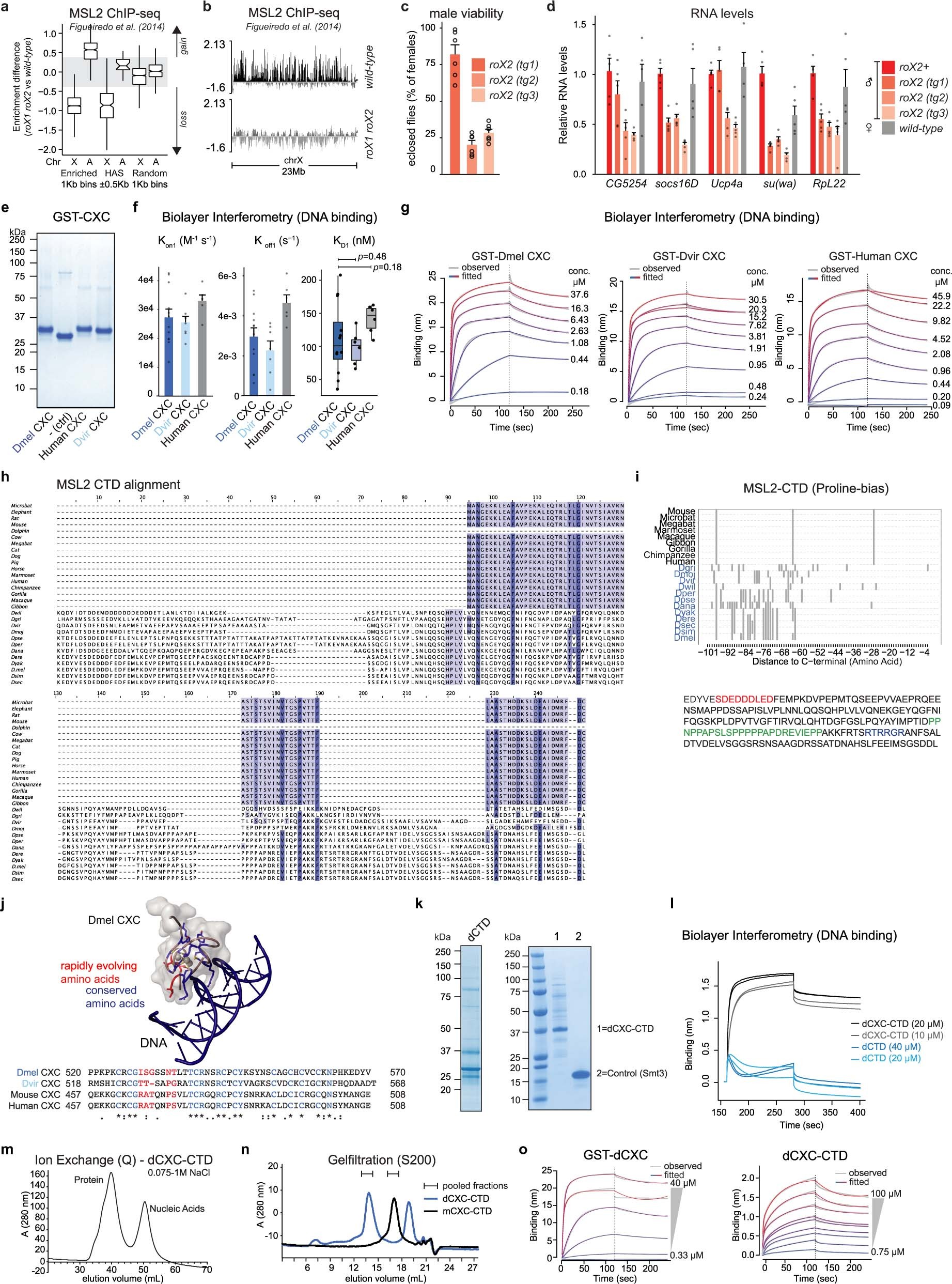 Extended Data Fig. 2: Computational and in vitro characterization of MSL2 CXC and CTD domains.