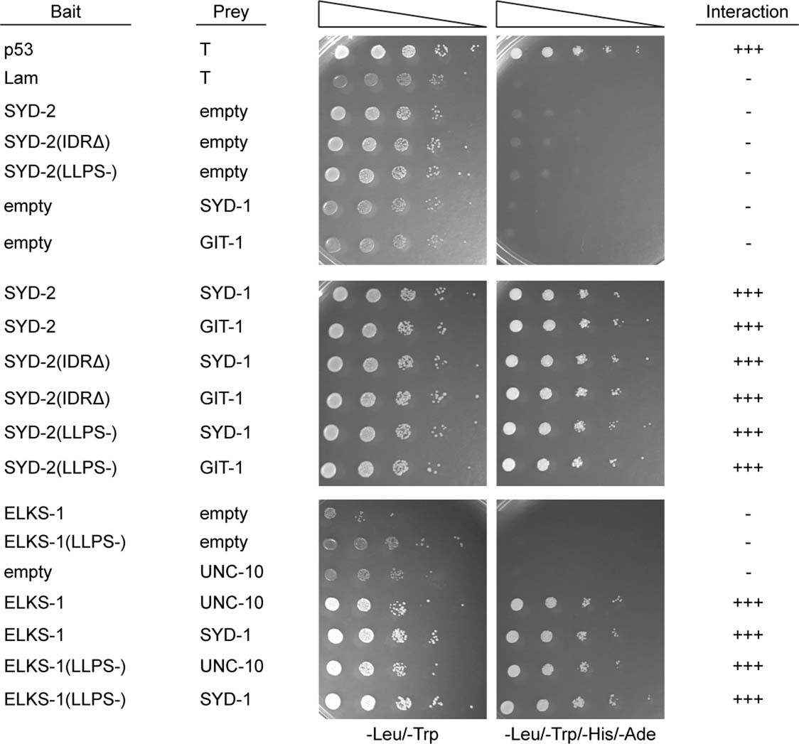 Extended Data Fig. 6