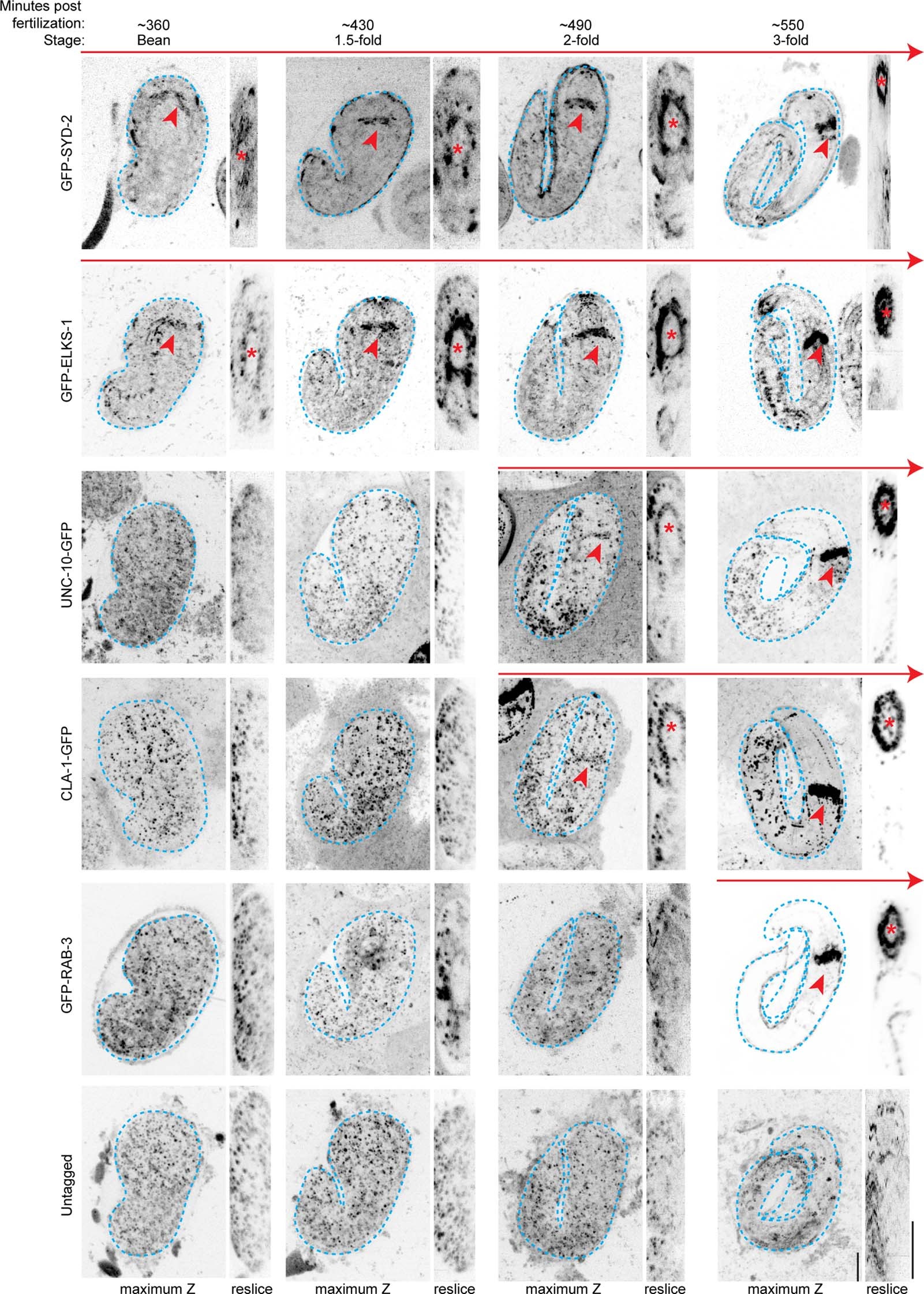 Extended Data Fig. 11