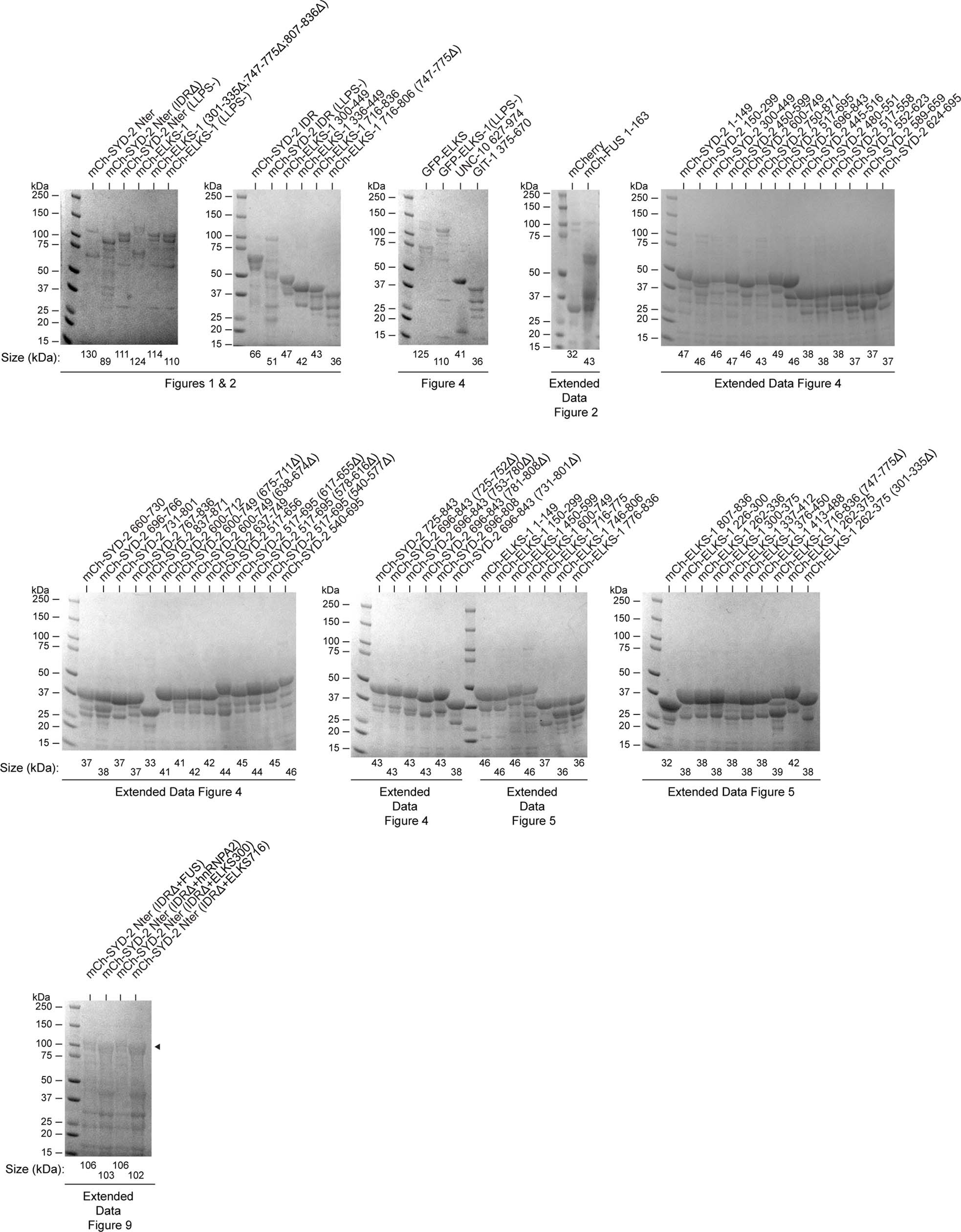 Extended Data Fig. 3