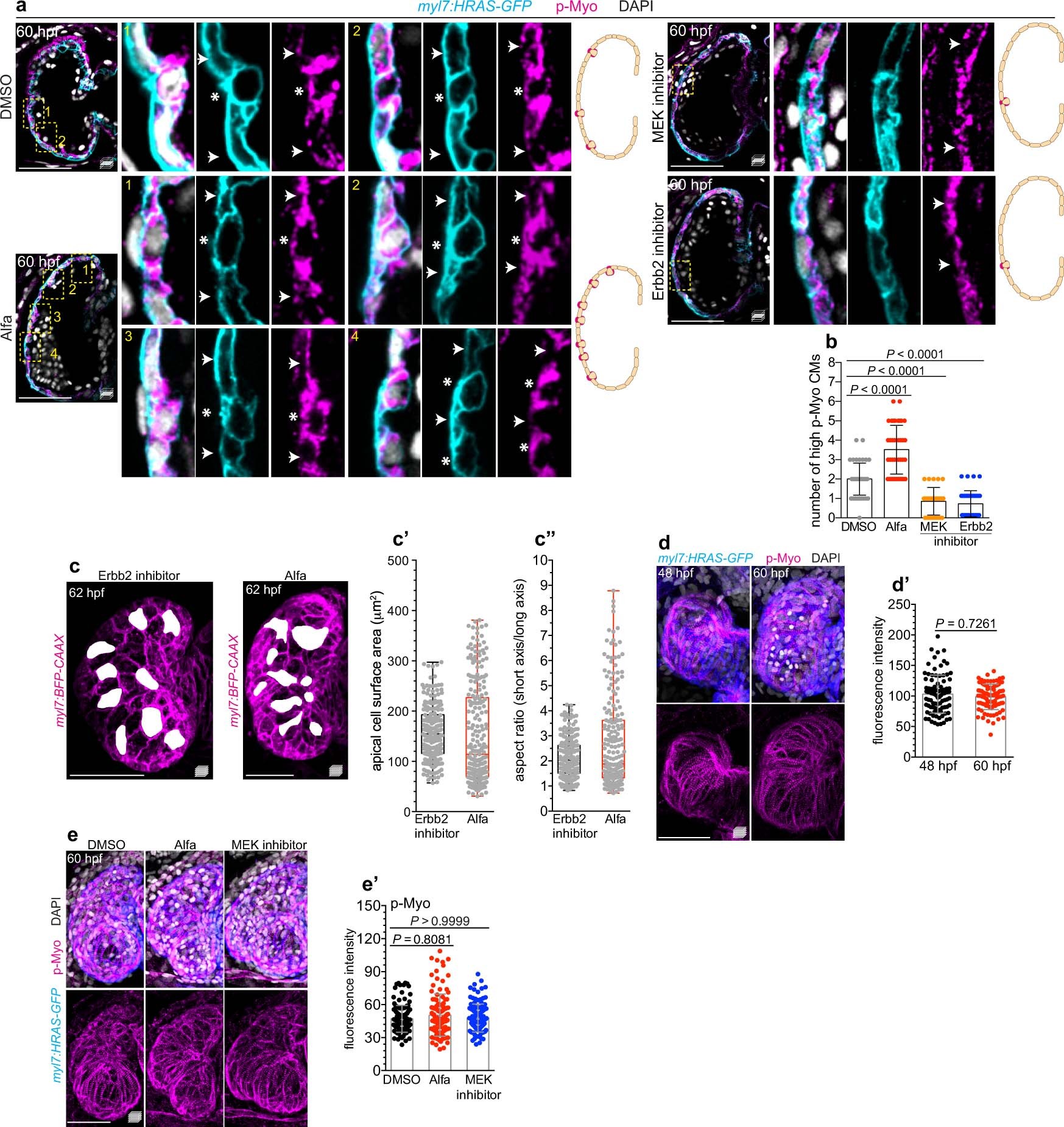 Extended Data Fig. 3