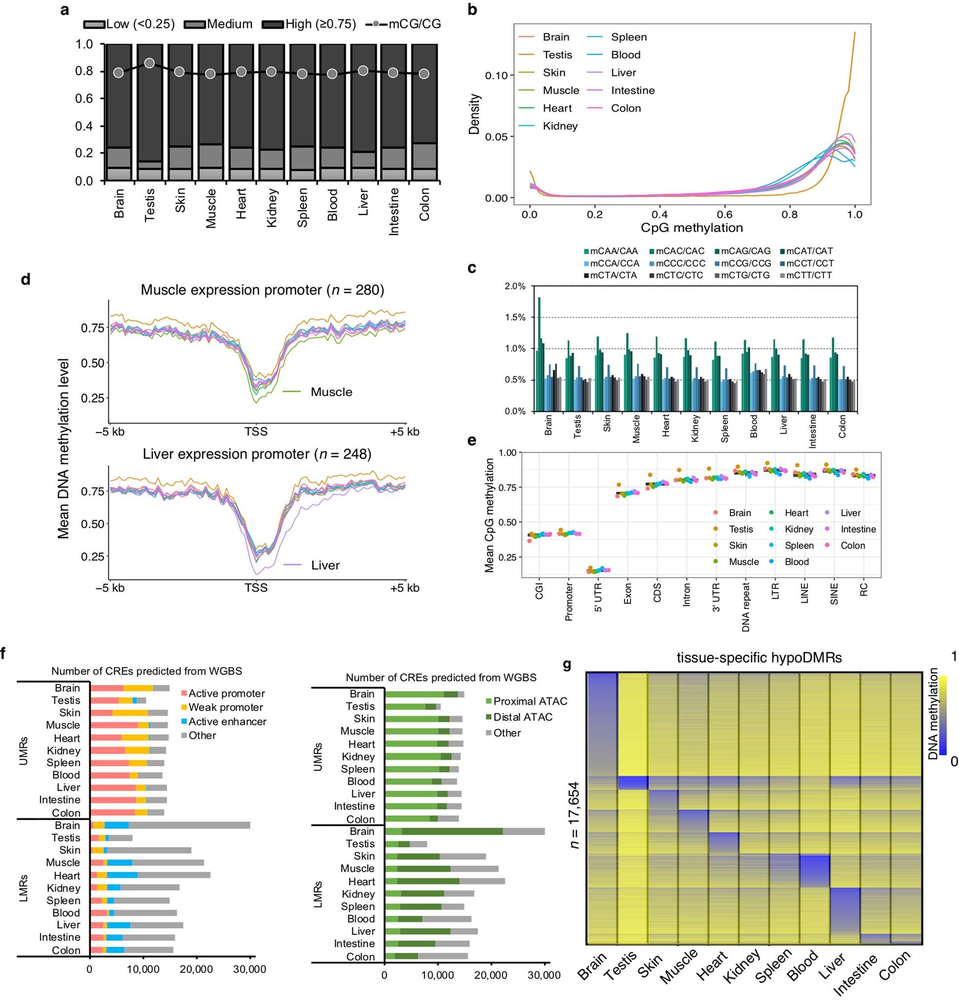 Extended Data Fig. 6