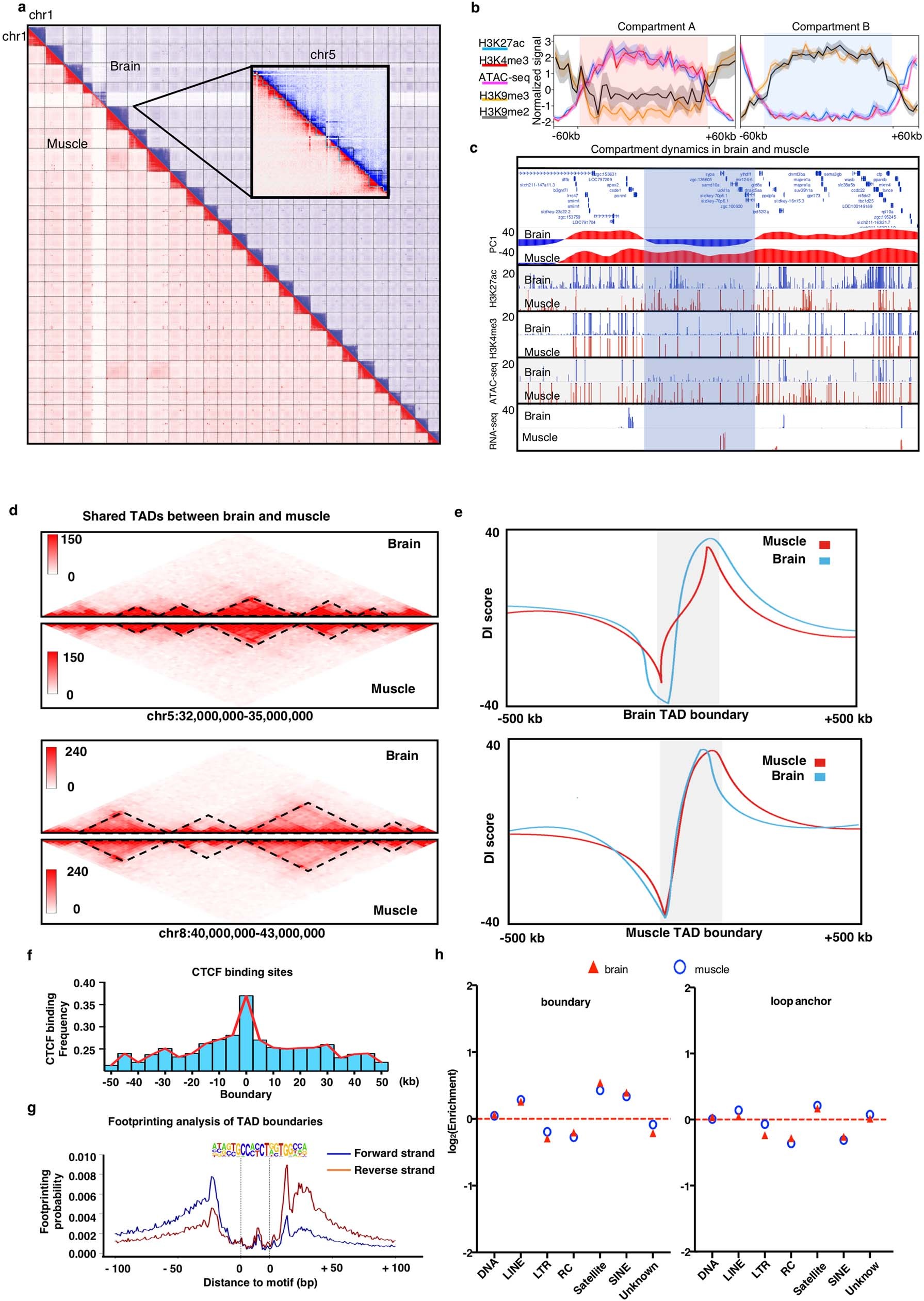 Extended Data Fig. 10