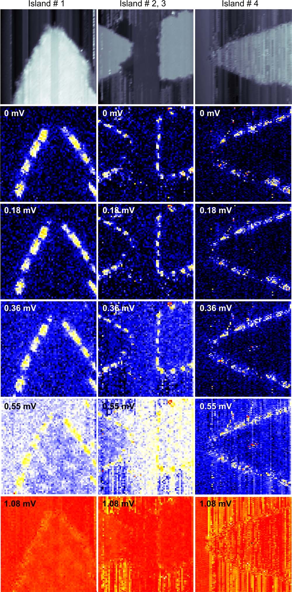 Extended Data Fig. 4: Robustness and reproducibility of the edge mode.