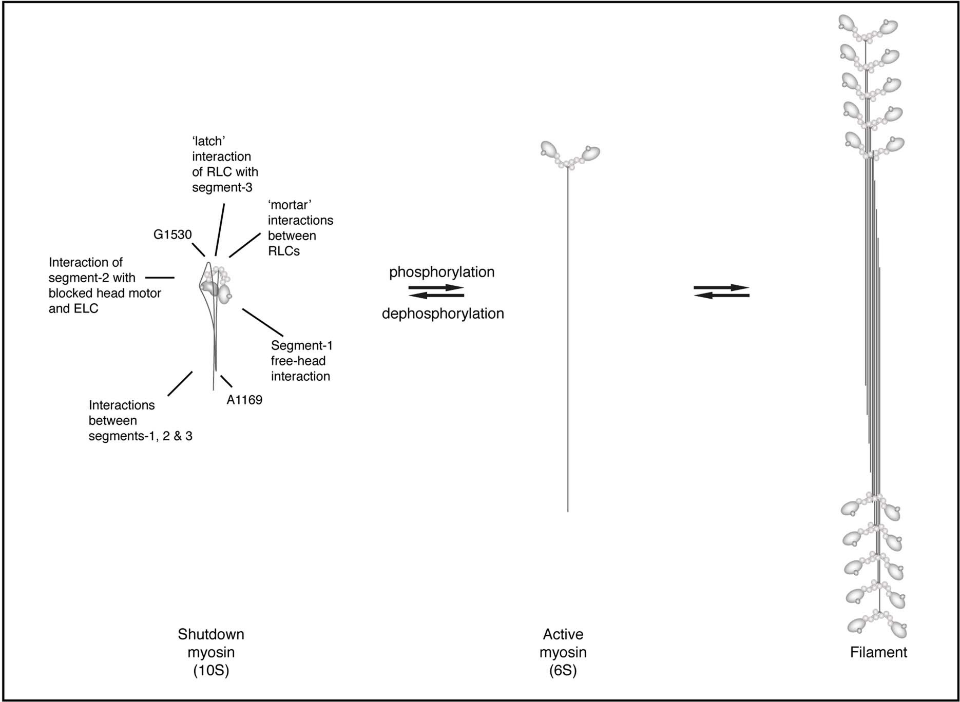 Extended Data Fig. 7