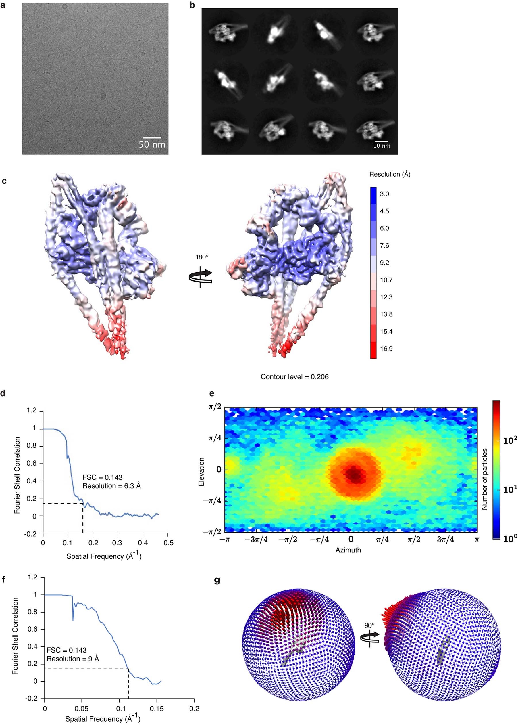 Extended Data Fig. 1