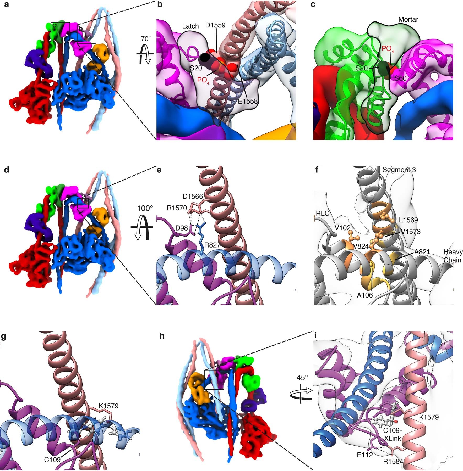 Extended data Fig. 2