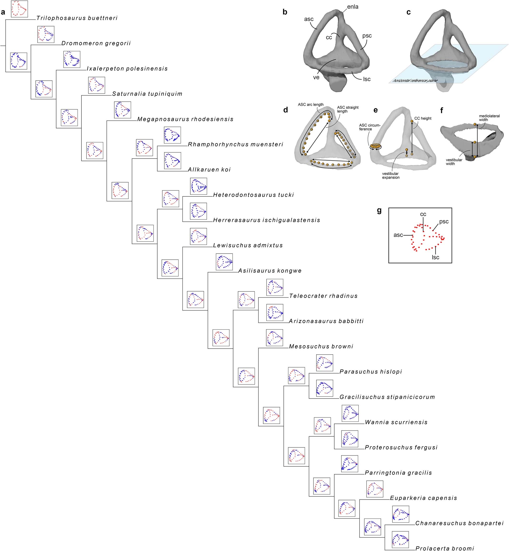 Extended Data Fig. 9