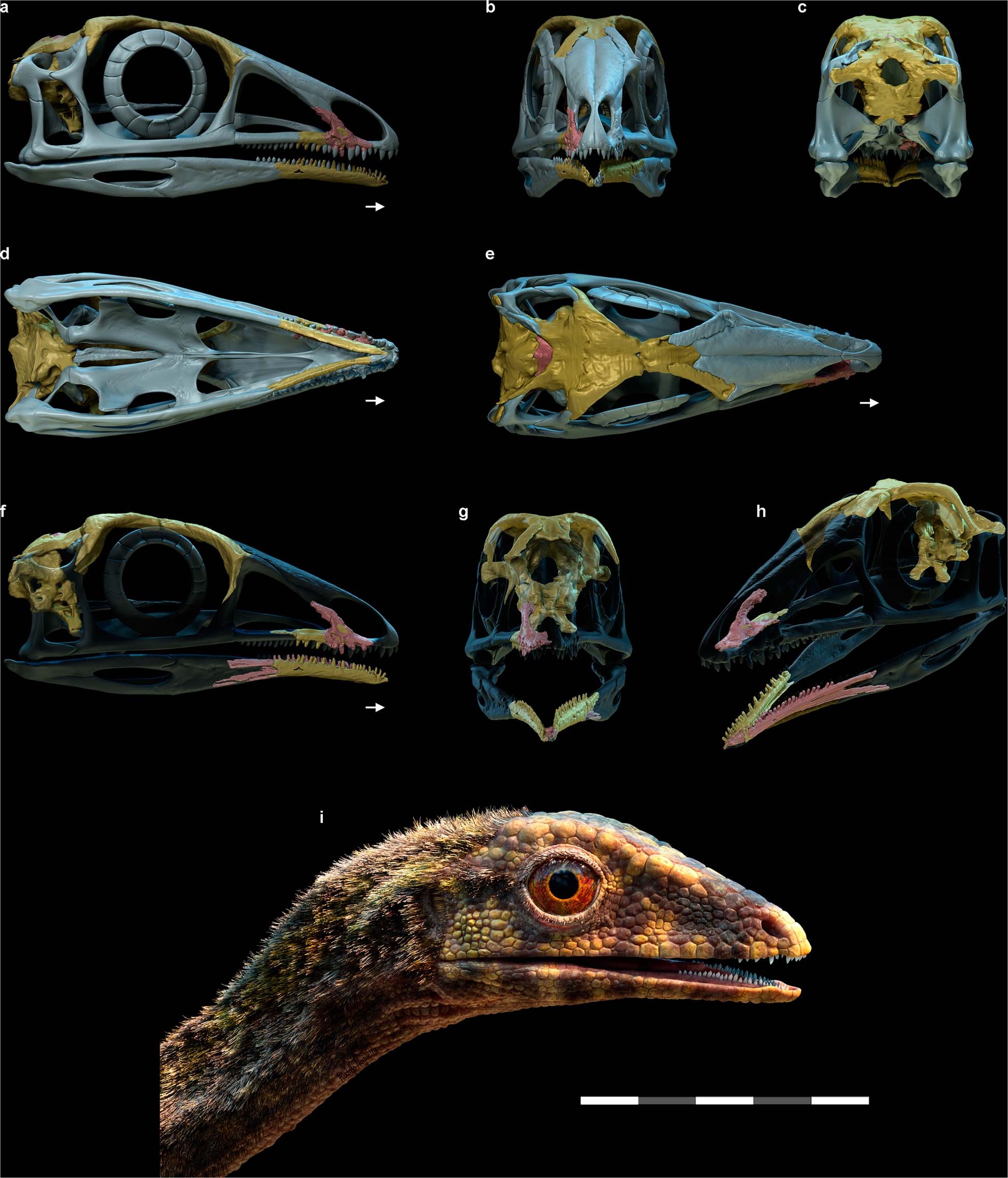 Extended Data Fig. 1