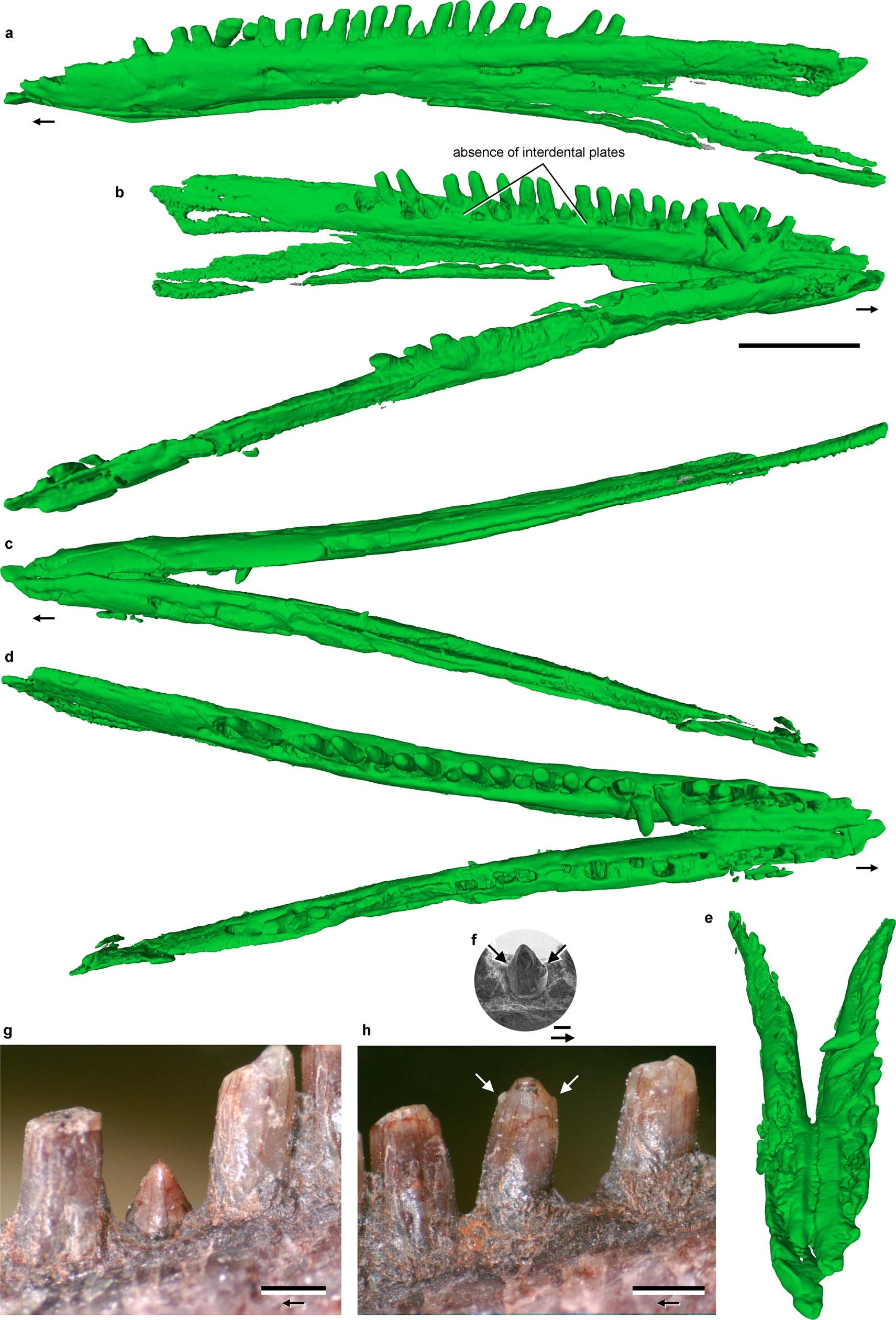 Extended Data Fig. 2