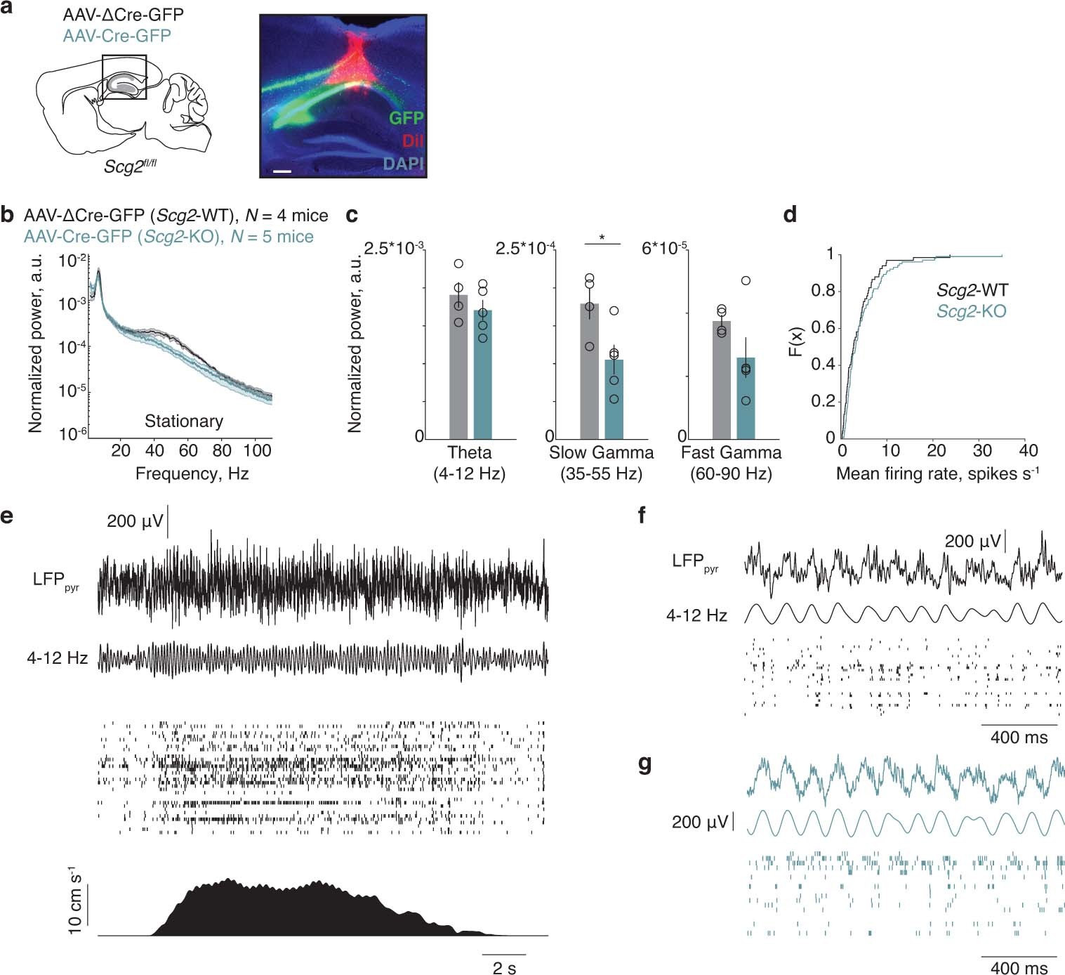 Extended Data Fig. 10
