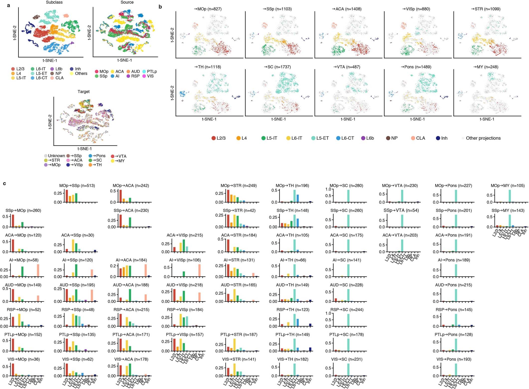 Extended Data Fig. 3: Cell type composition of all projections.