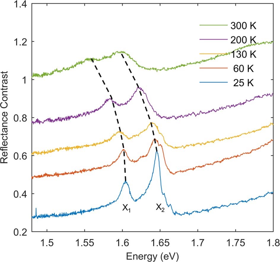 Extended Data Fig. 2