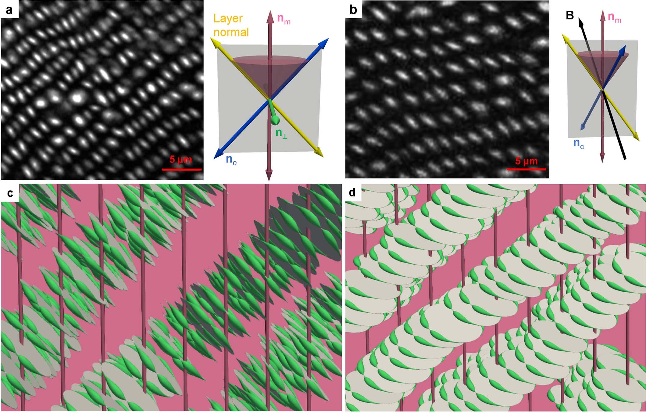 Extended Data Fig. 8