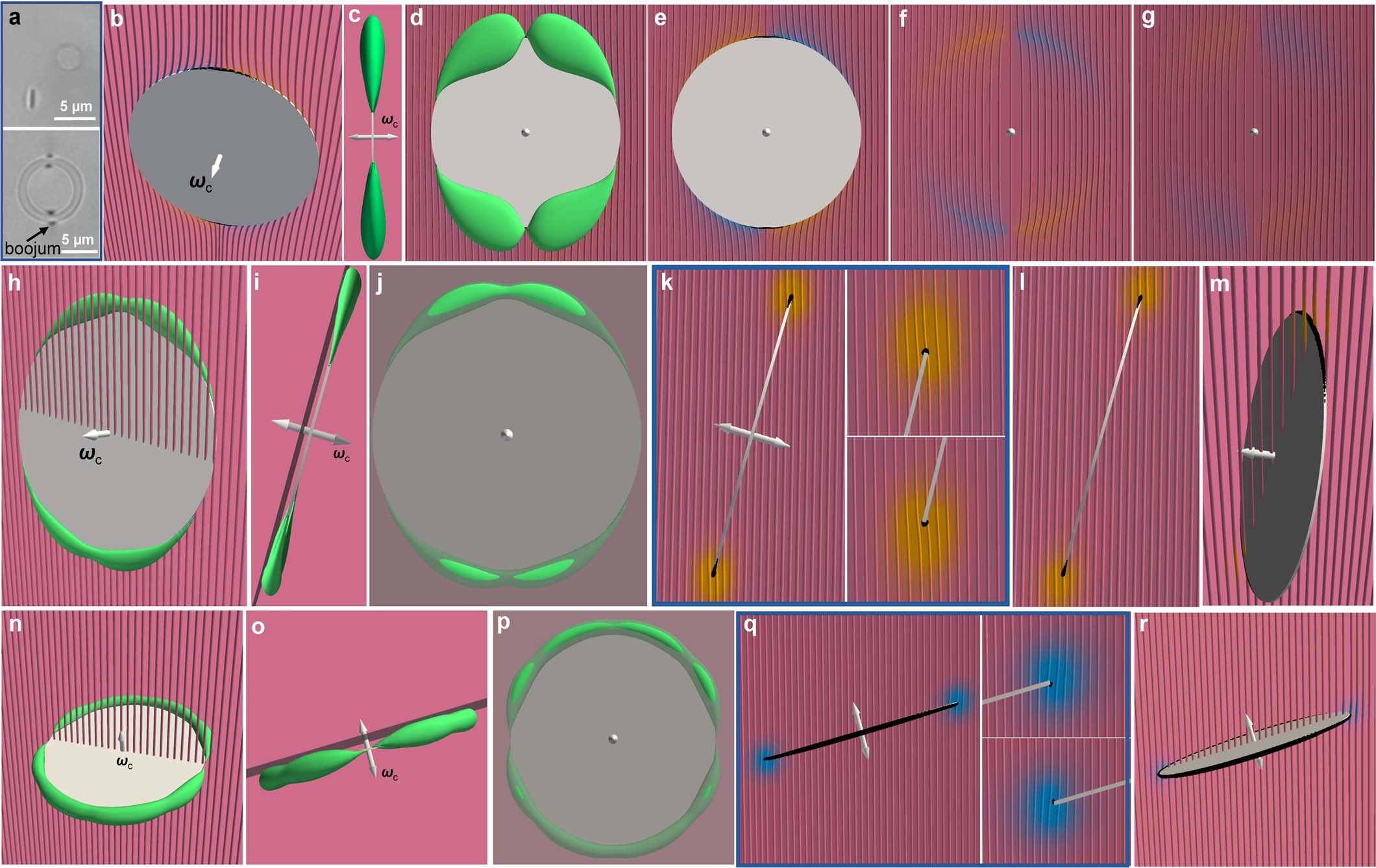 Extended Data Fig. 2
