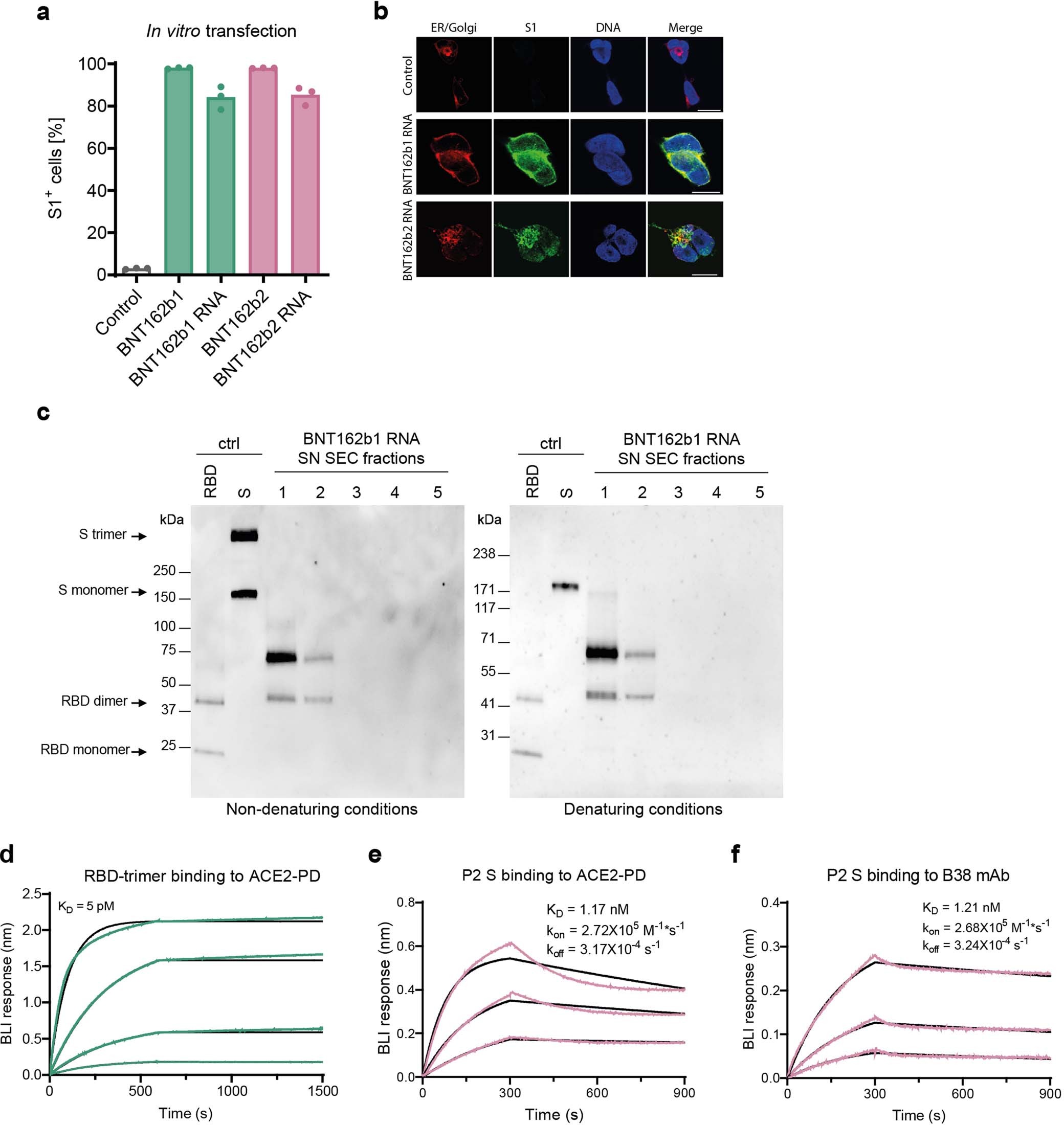 Extended Data Fig. 1