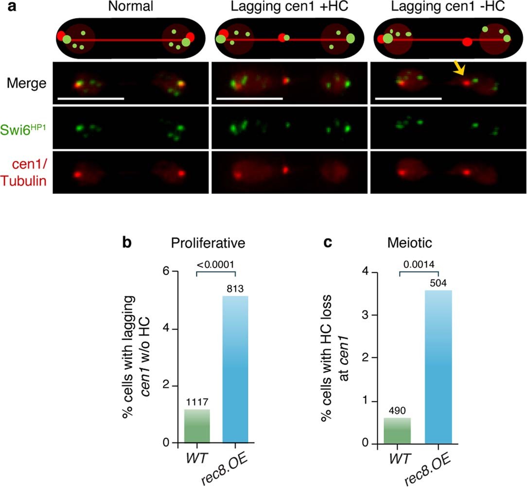Extended Data Fig. 7