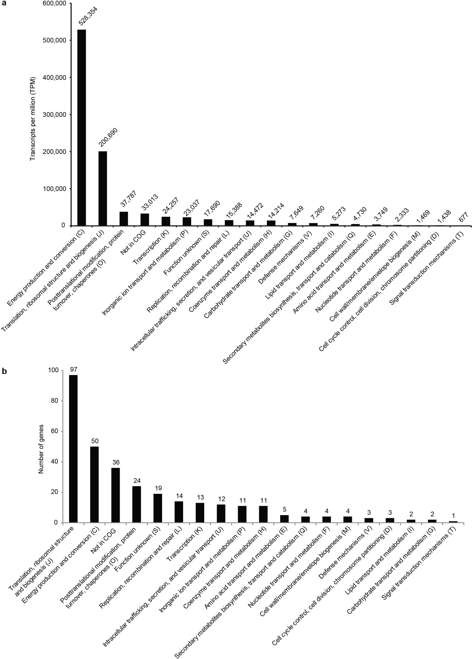 Extended Data Fig. 7: Total gene transcription and number of genes per functional category.