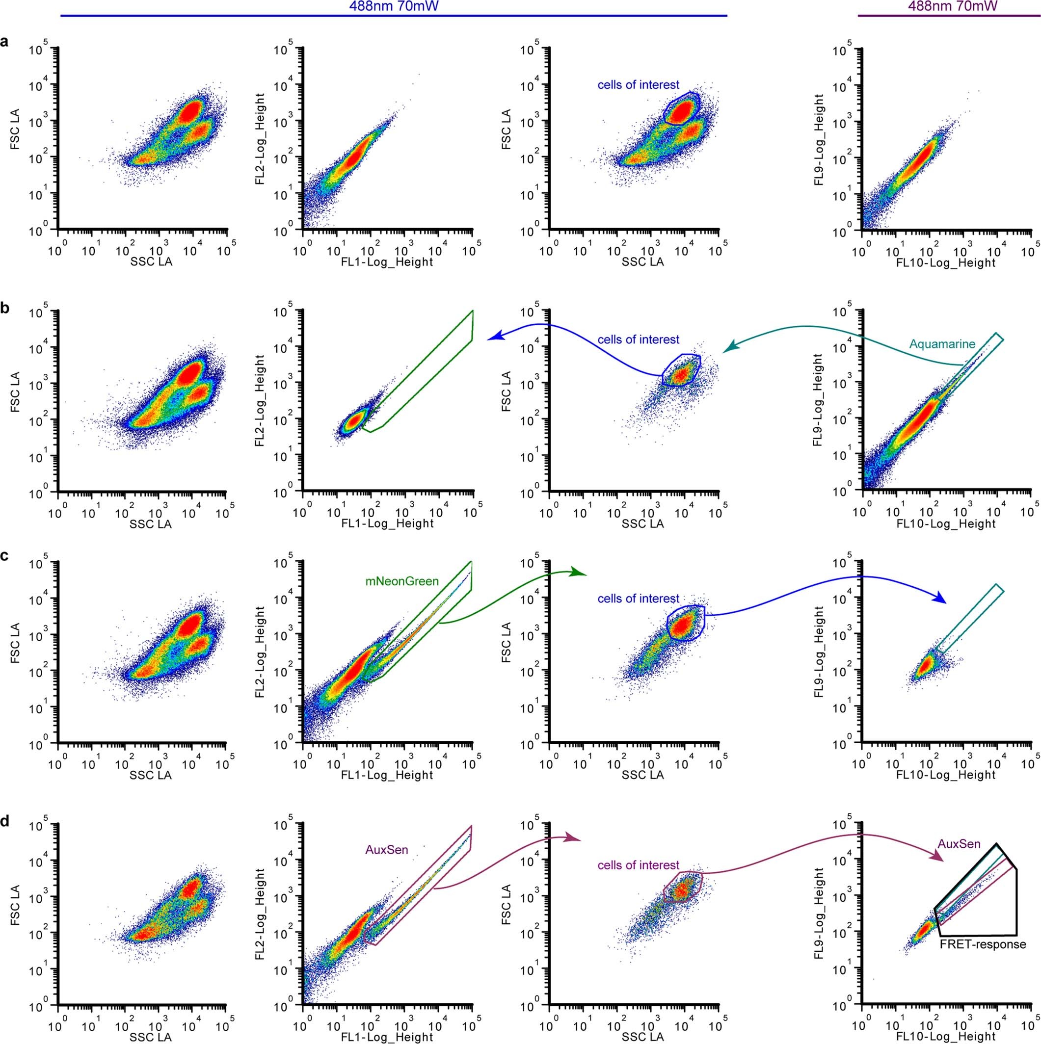 Extended Data Fig. 7: Demonstration of relevant population regions and Aquamarine, mNeonGreen and AuxSen fluorescent emission in cell-suspension-culture protoplasts.
