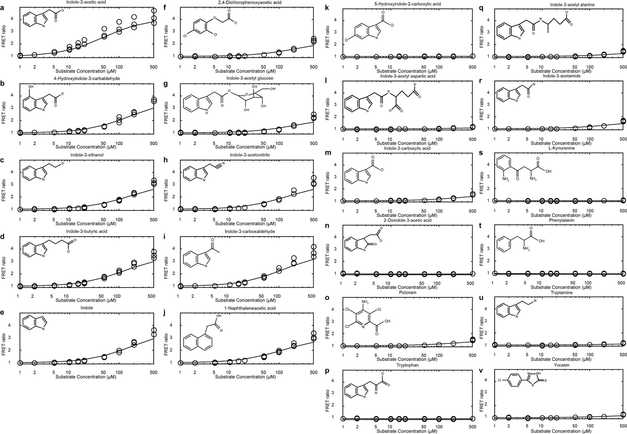 Extended Data Fig. 5: Affinities of AuxSen for auxin-related compounds.
