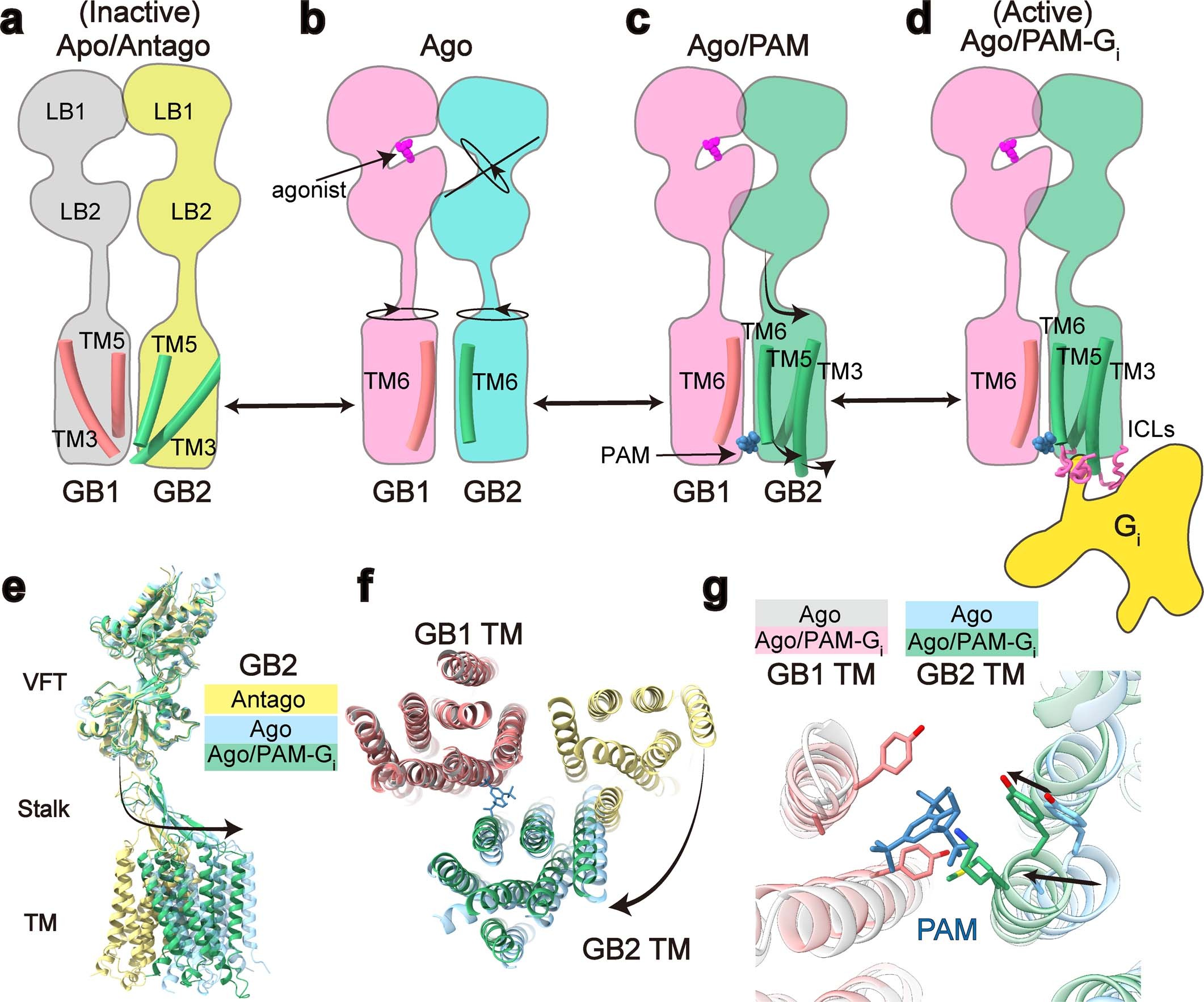 Extended Data Fig. 9